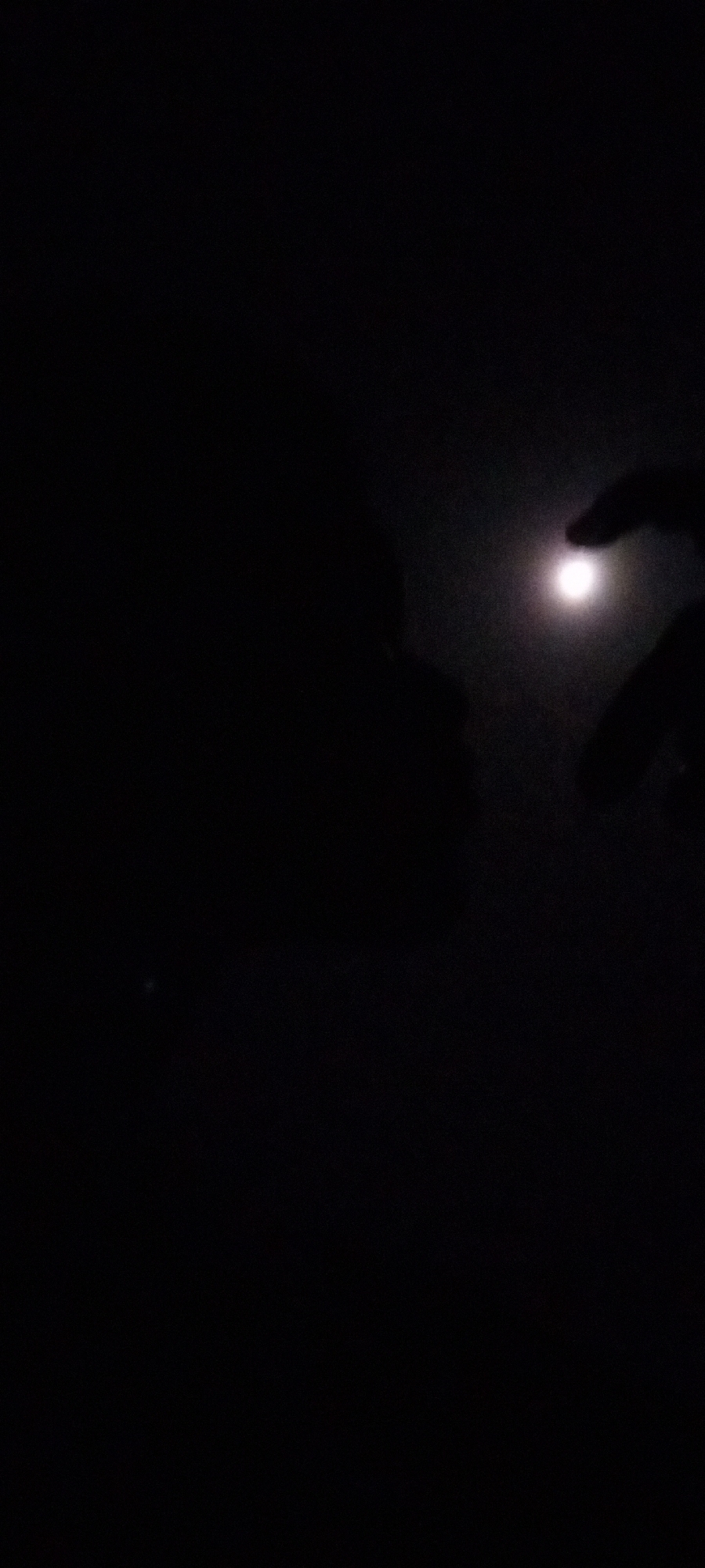 Hand gestures captured against bright lights in Nigerian night scene