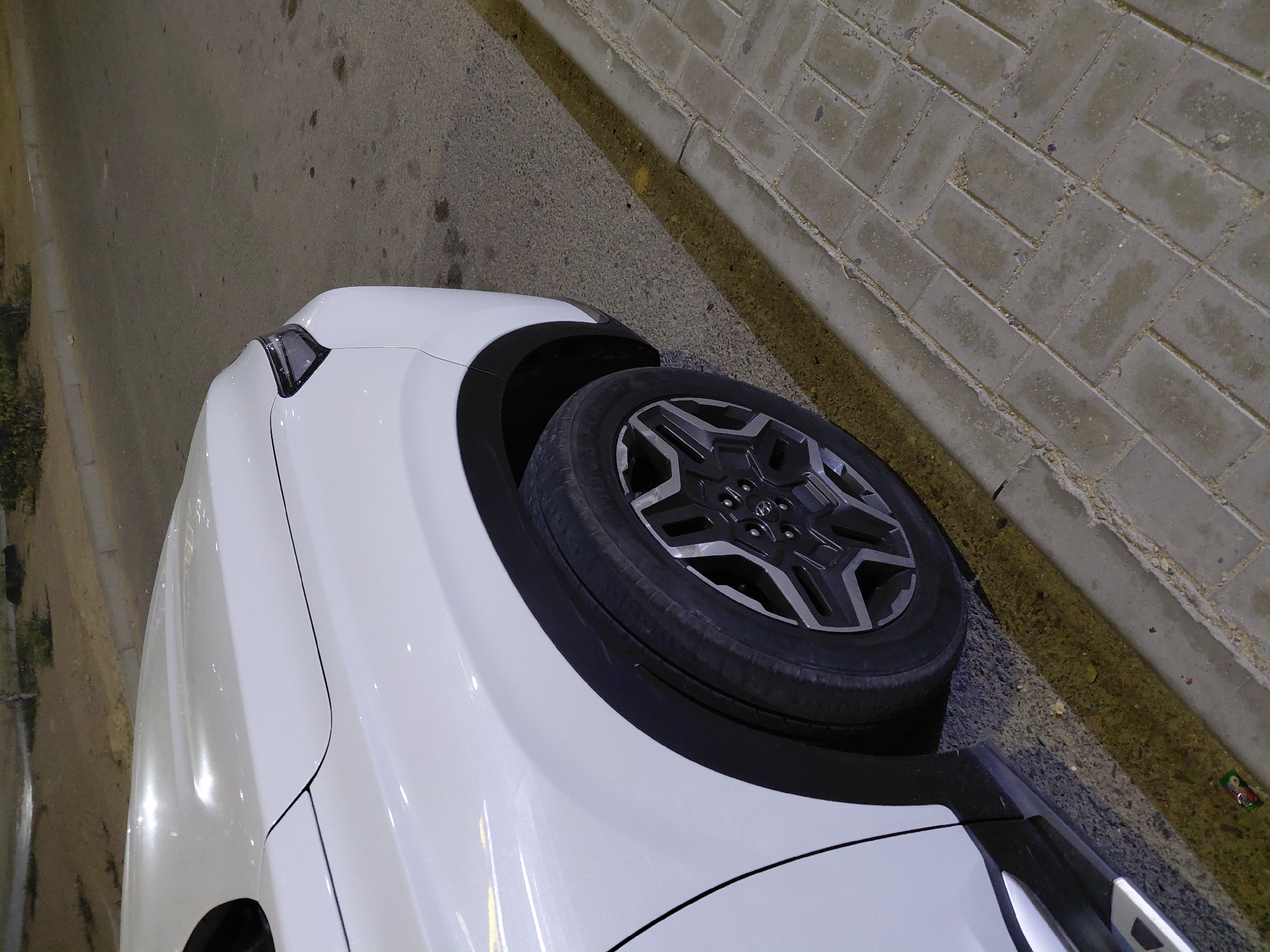 Parked cars and a resting cat in Aktau at night