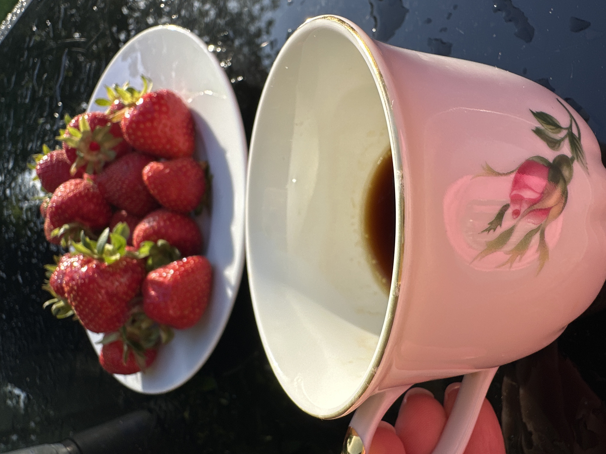 Elaborate afternoon tea garden setup documented in Krefeld
