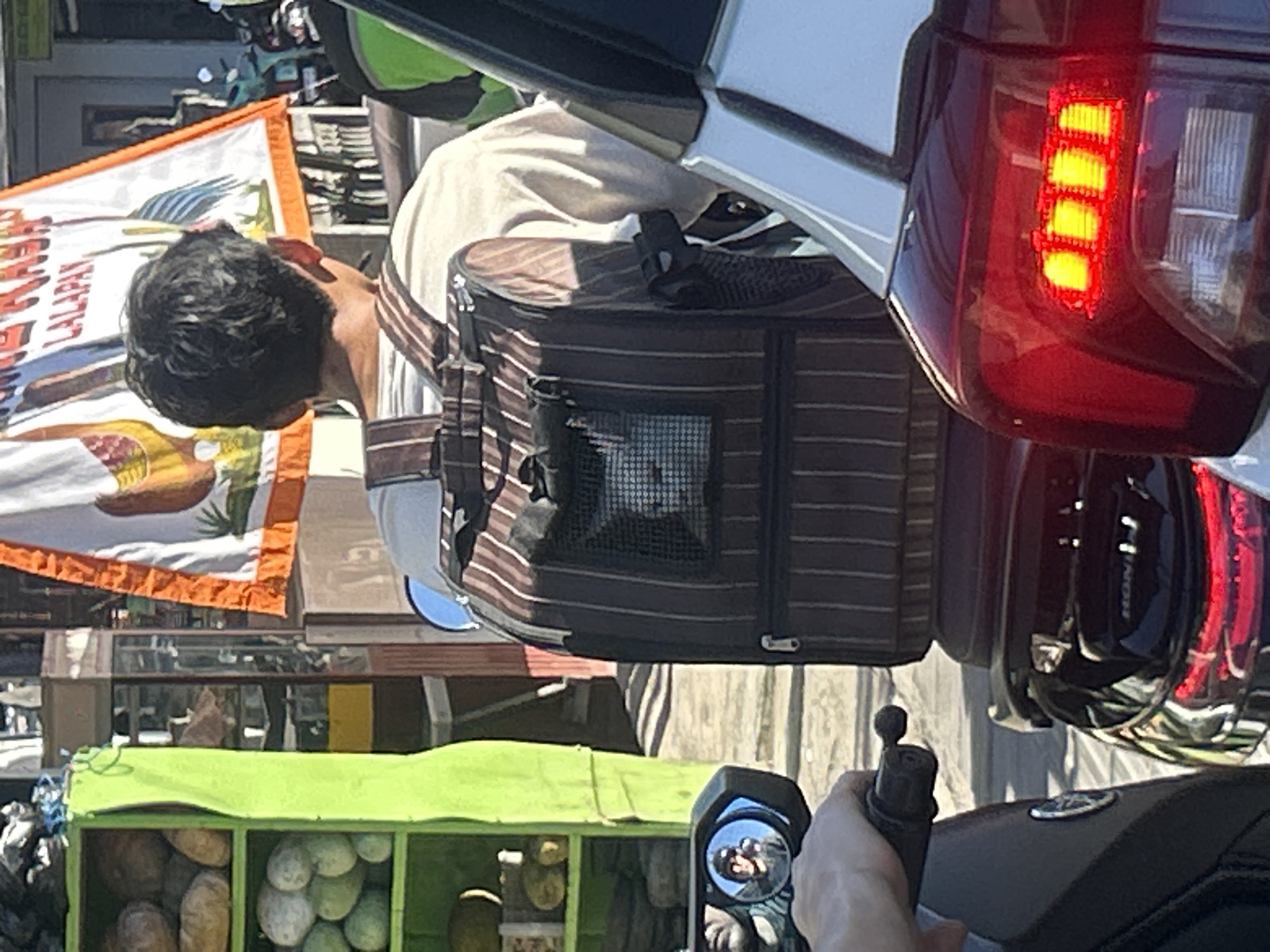 Motorcyclist carries white cat in backpack carrier through Bali traffic