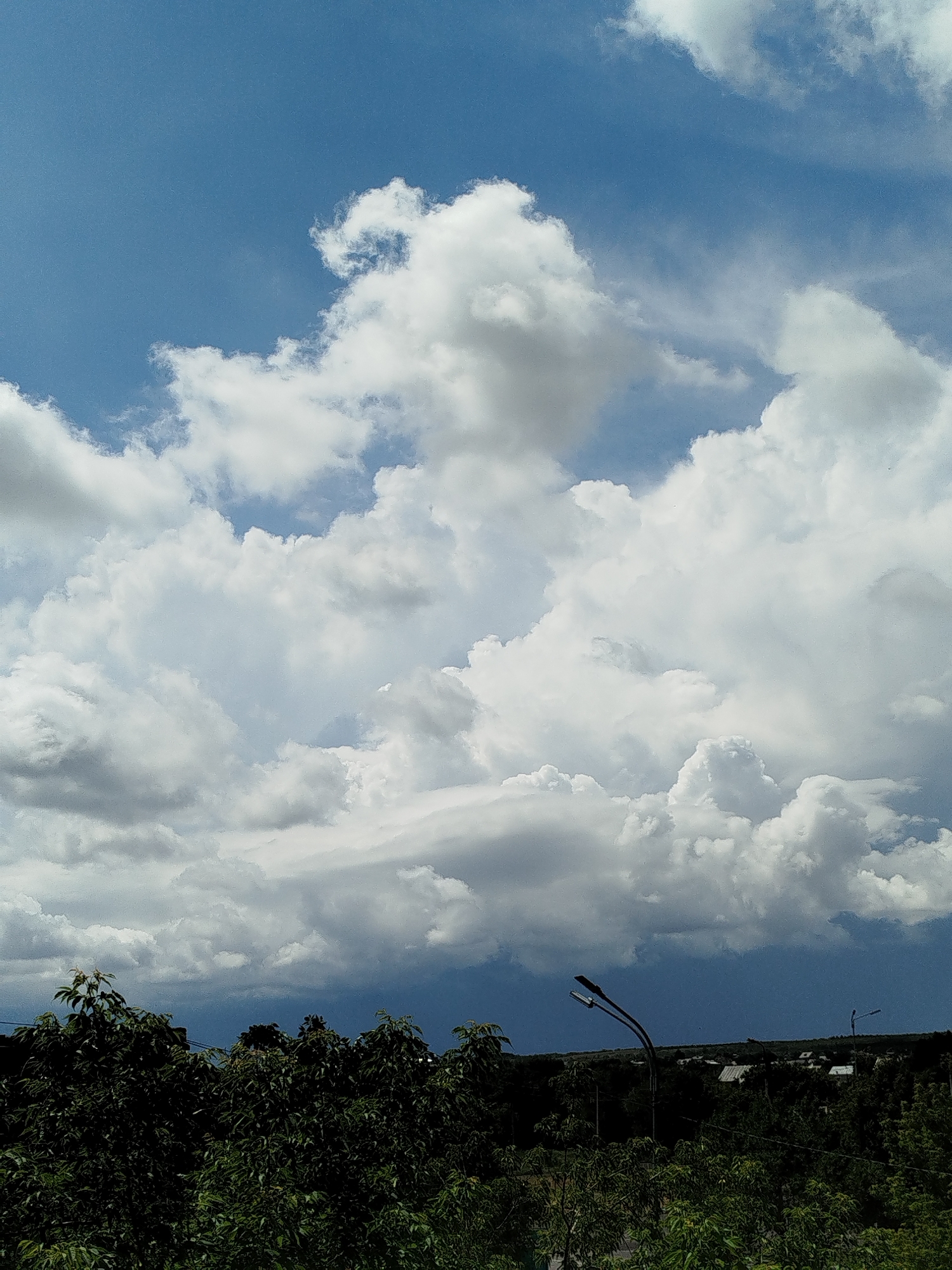 Looking up at dramatic cloud formations through green tree canopies
