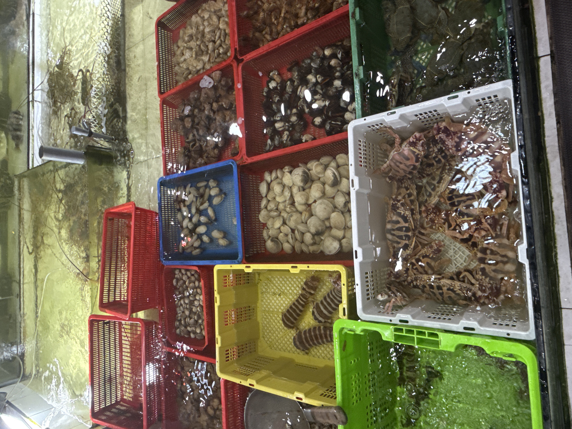 Daily life scenes captured in Nha Trang Ward, Vietnam