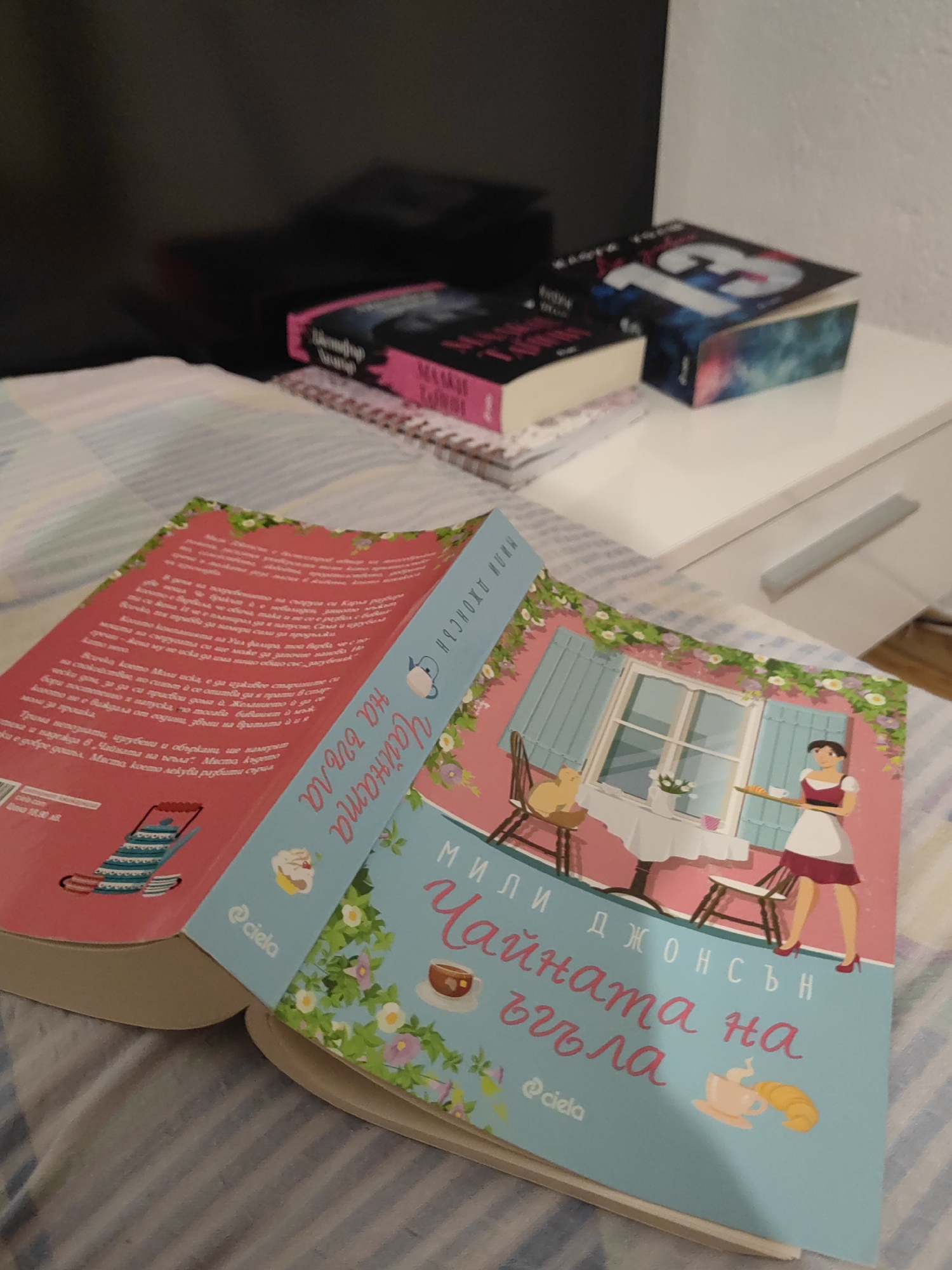 Evening in with Bulgarian books and snacks