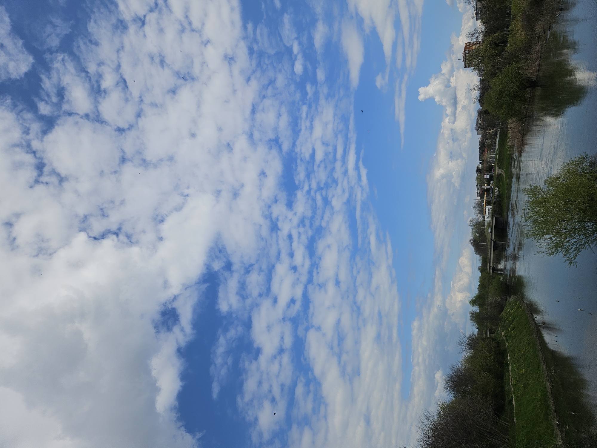 Spring riverside scenes documented along Tundzha River in Yambol
