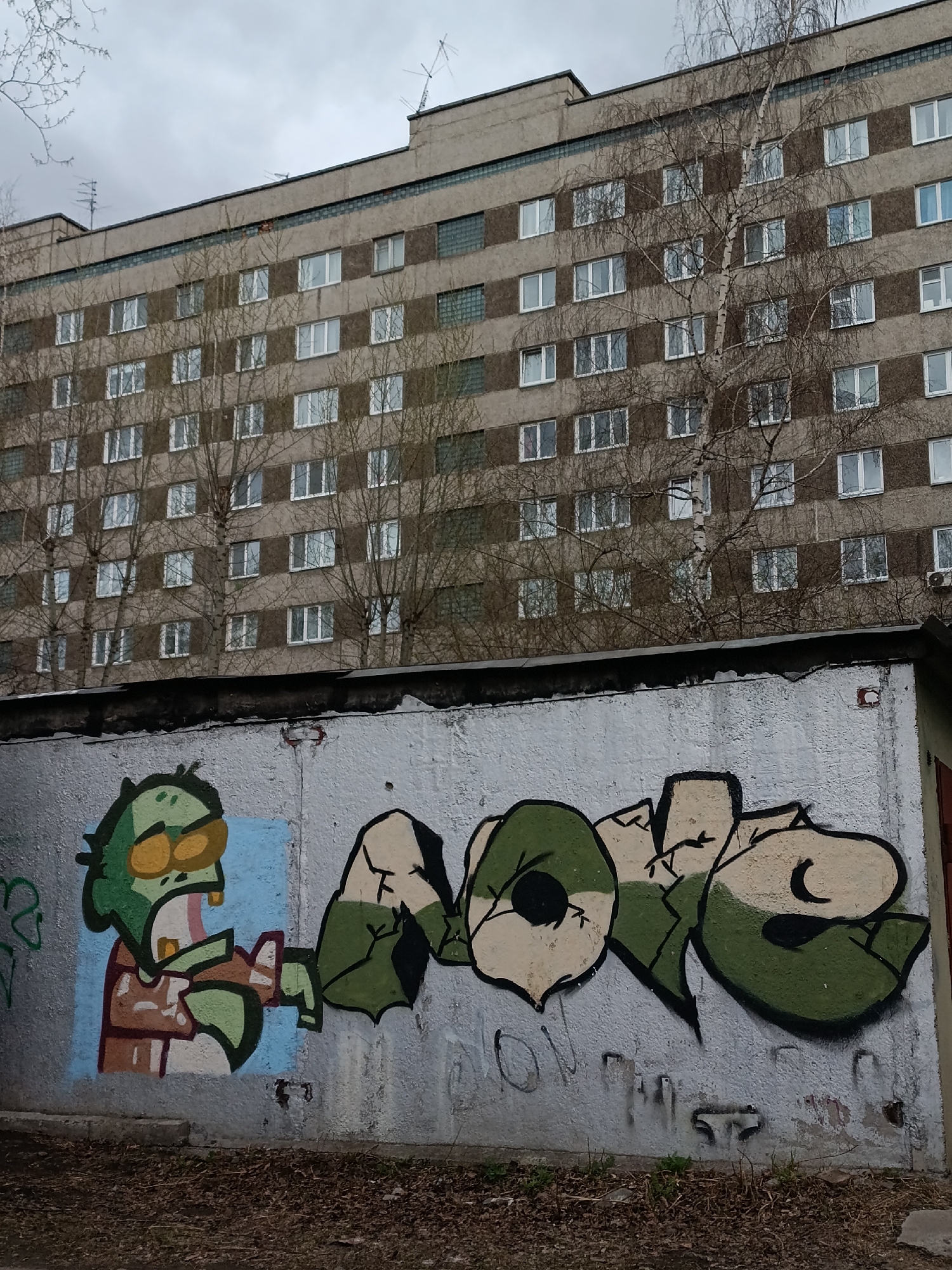 Street art and pigeons captured in Krasnoyarsk urban scene
