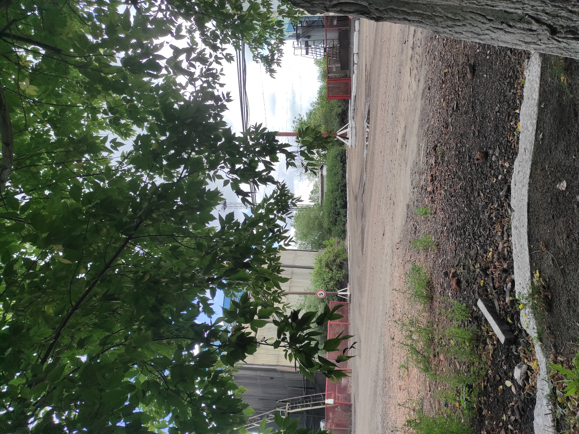 Tree and industrial buildings coexist at a Kyzyl outdoor site