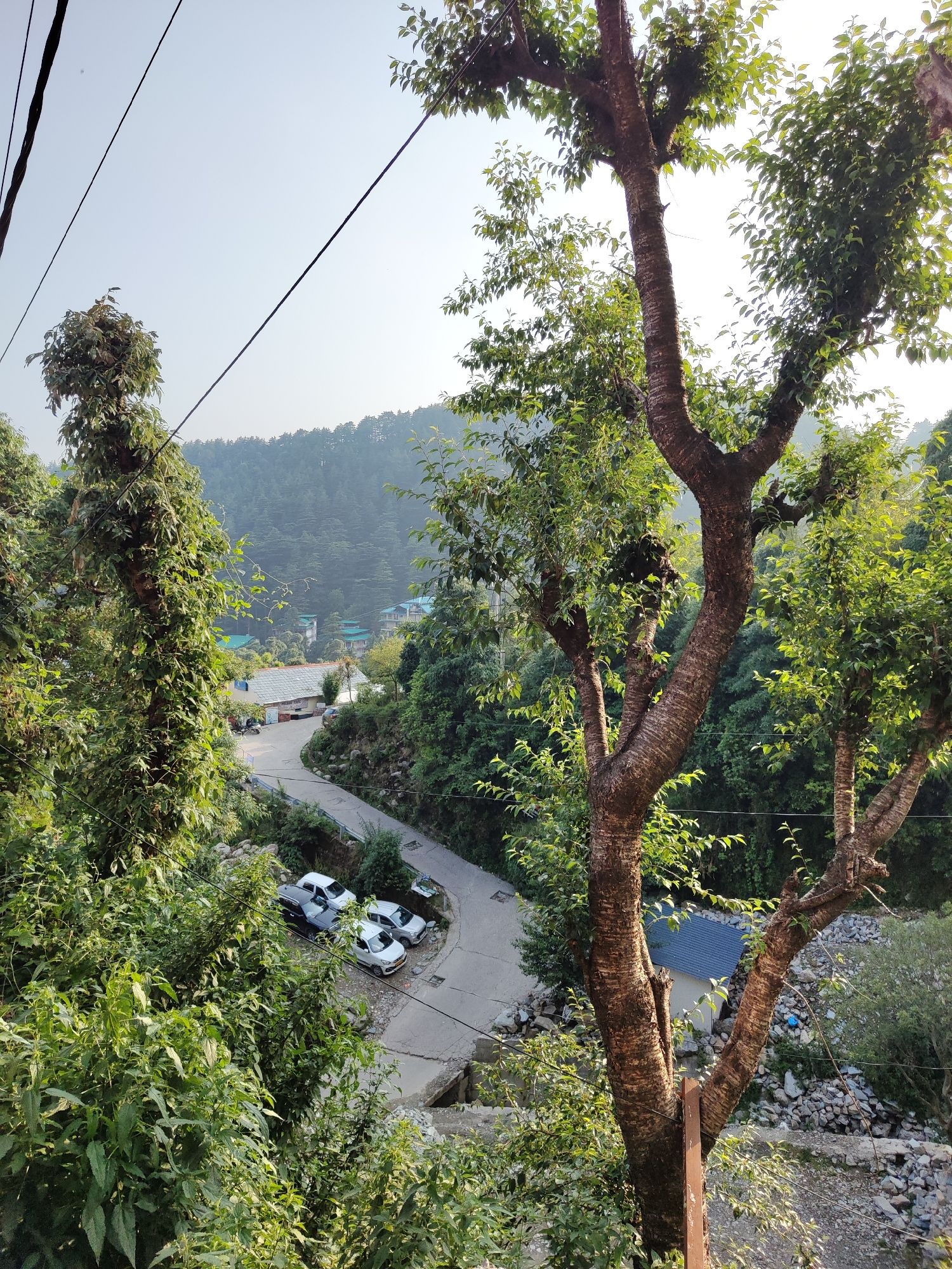 Daily life documented in northern India mountain towns