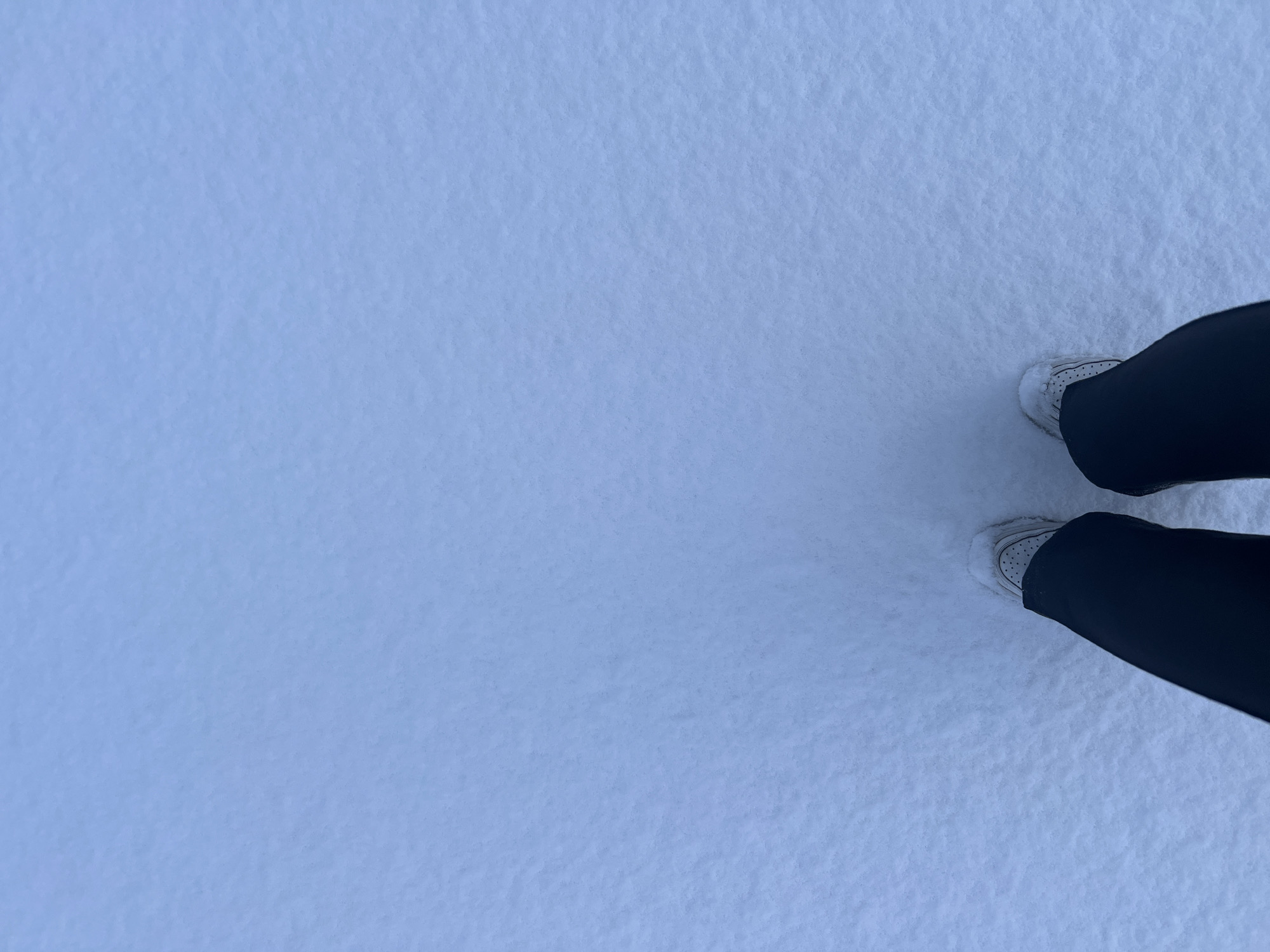 Late-night snow walk documented in residential Tromsø, Norway
