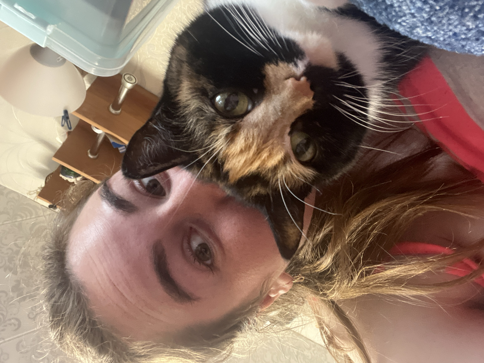 Morning selfies with calico cat in Chaikovsky, Russia