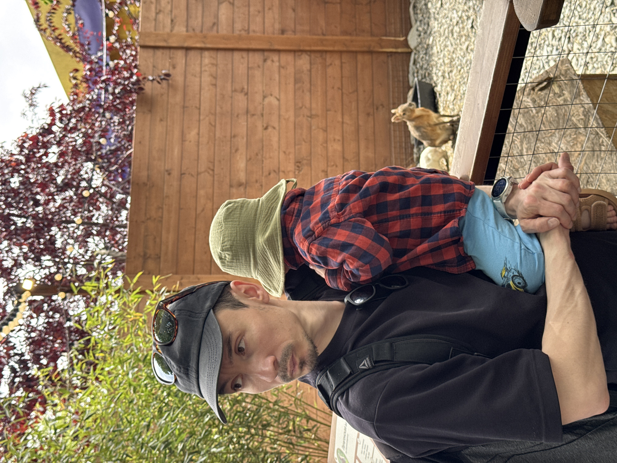 Father and child visit petting zoo in Sochi