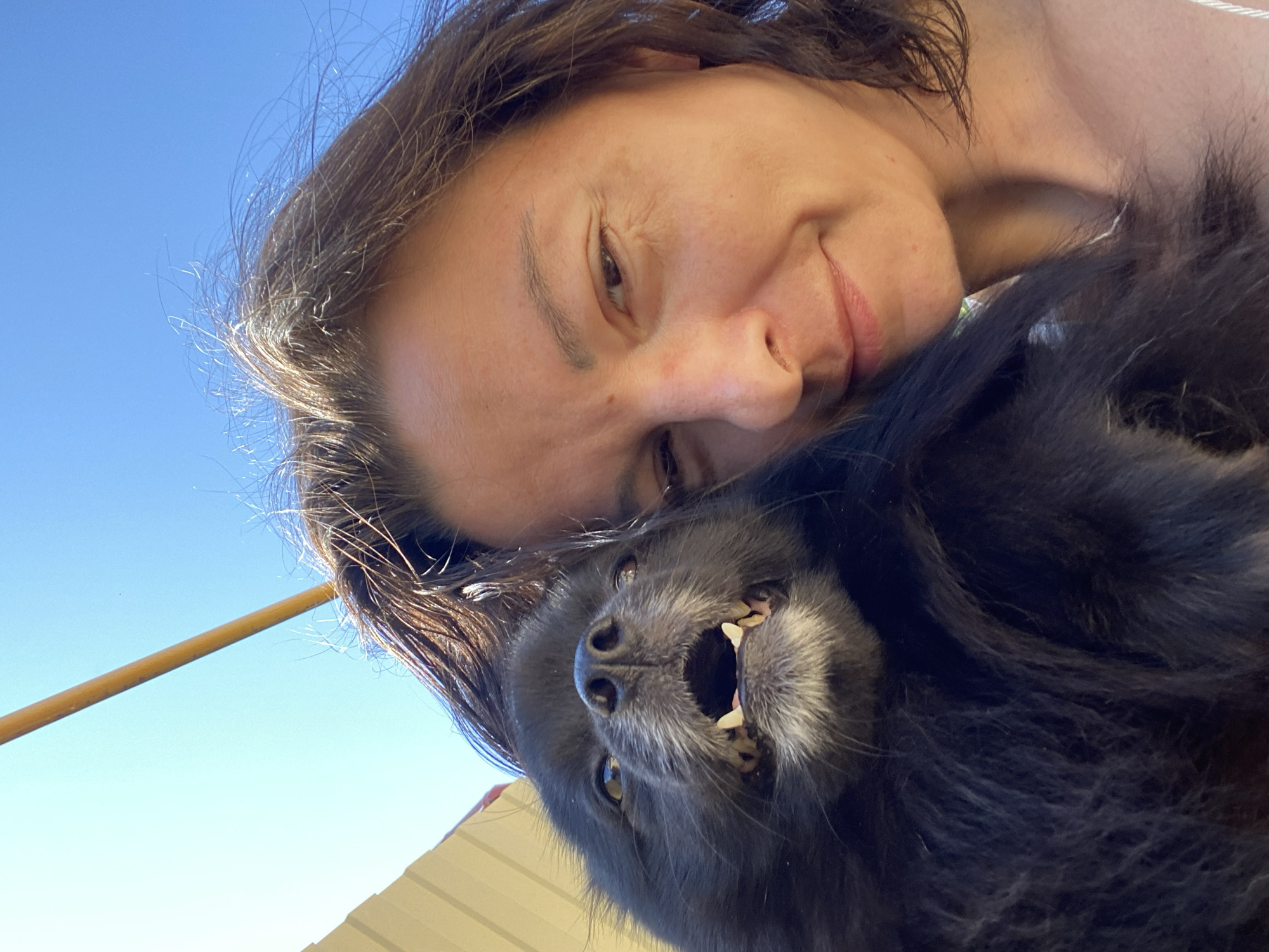 Morning in Yuzhny with a black Pomeranian and an apple tree