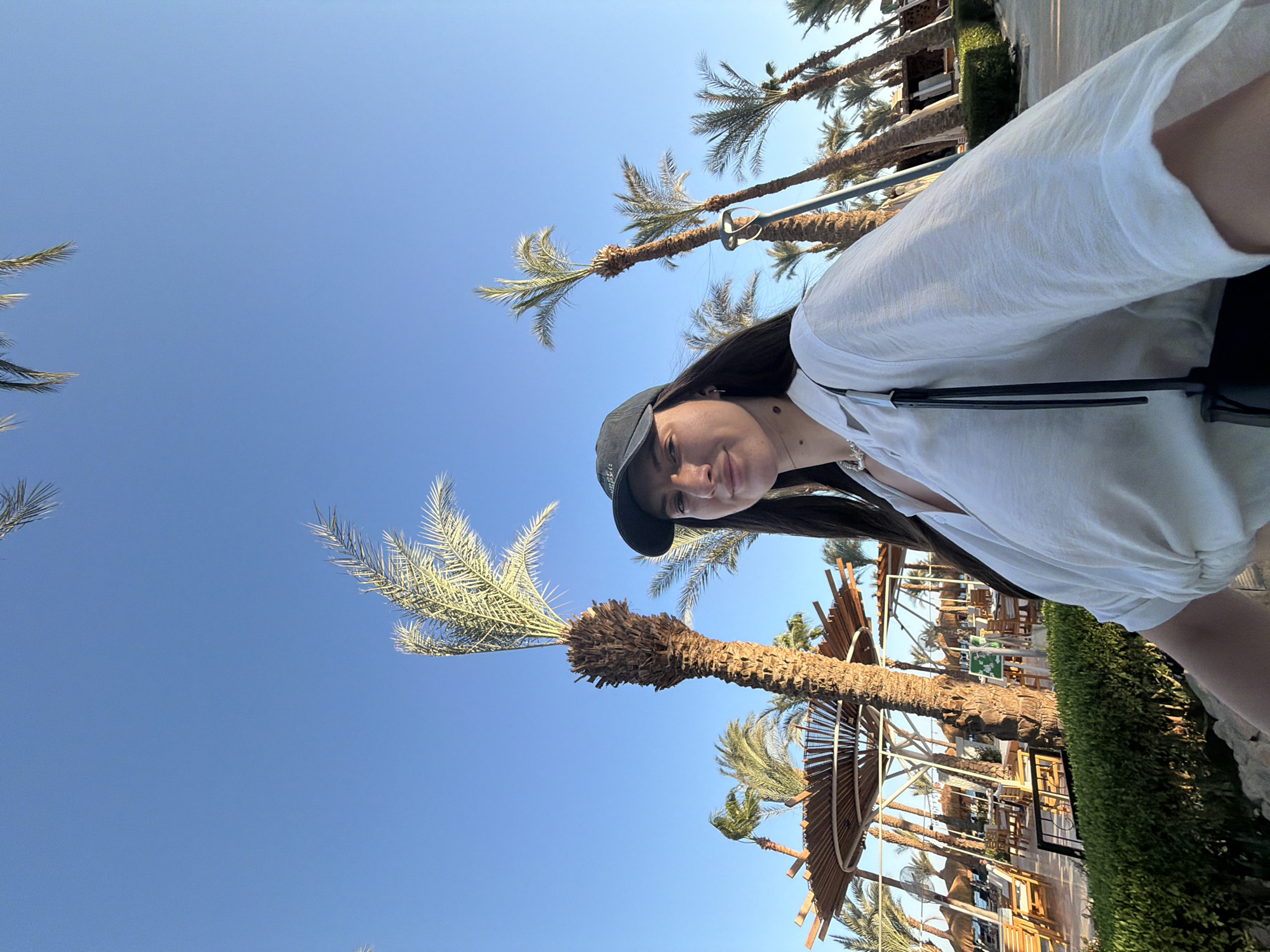 Afternoon at a Sharm El Sheikh resort, palm trees and all