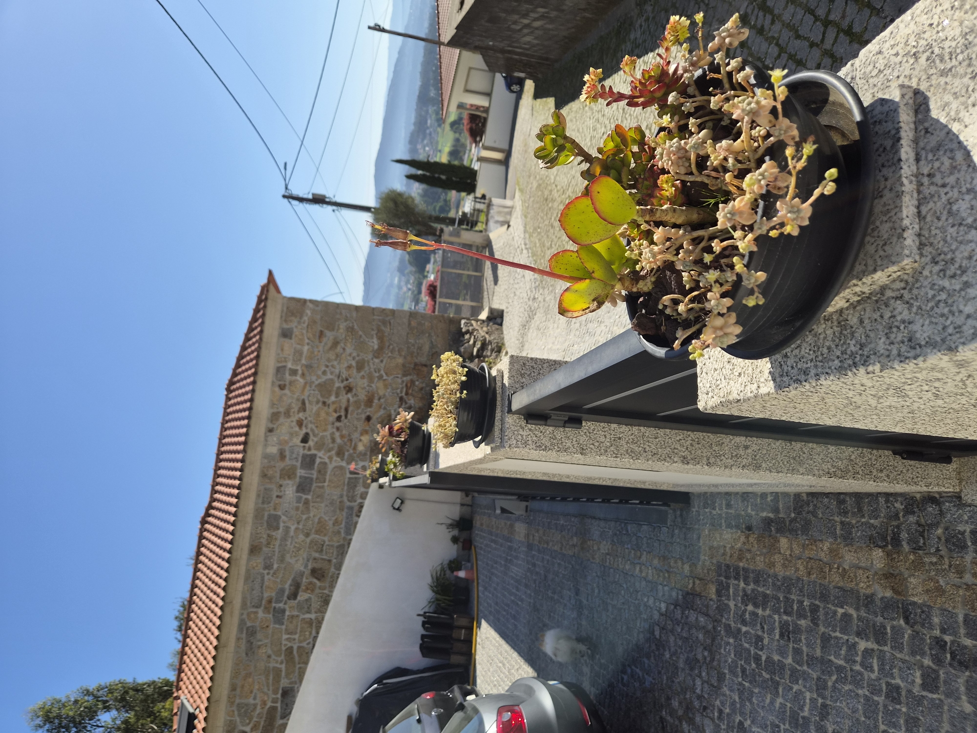 Sunny day residential scene documented in Barcelos, Portugal