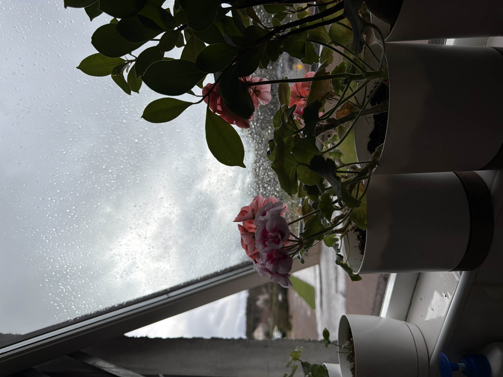 Rainy day indoor moments captured in Blackburn home