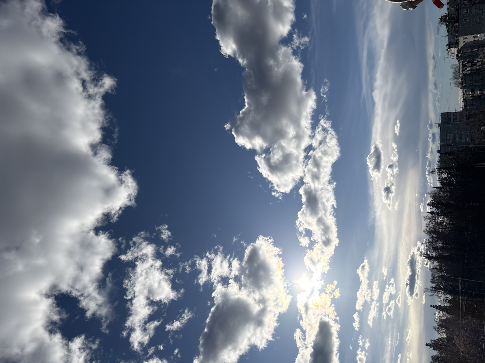 Ordinary morning moments captured across Ust-Ilimsk, Russia