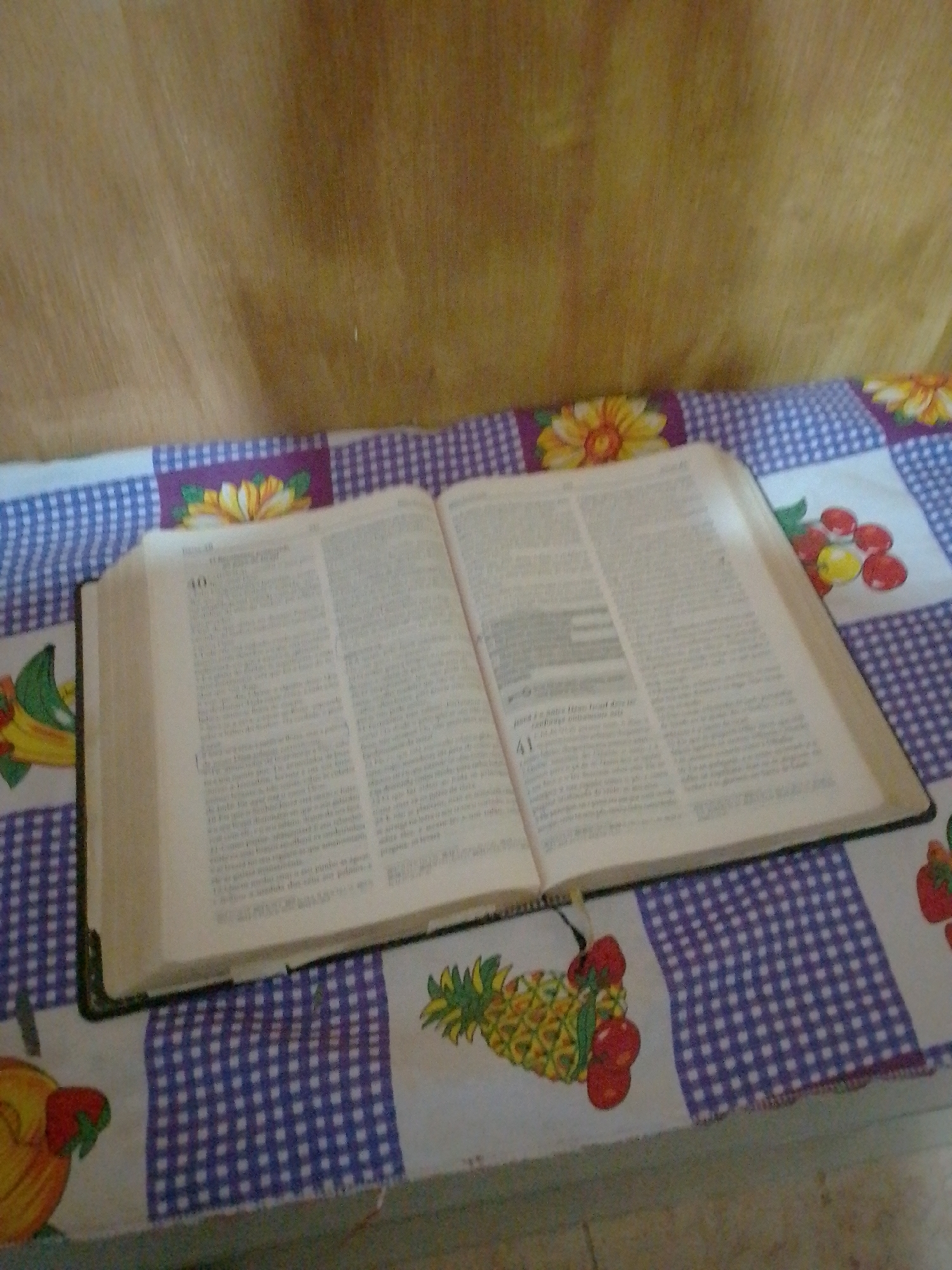 Indoor scenes documented in Cuiabá: Bible and wall map