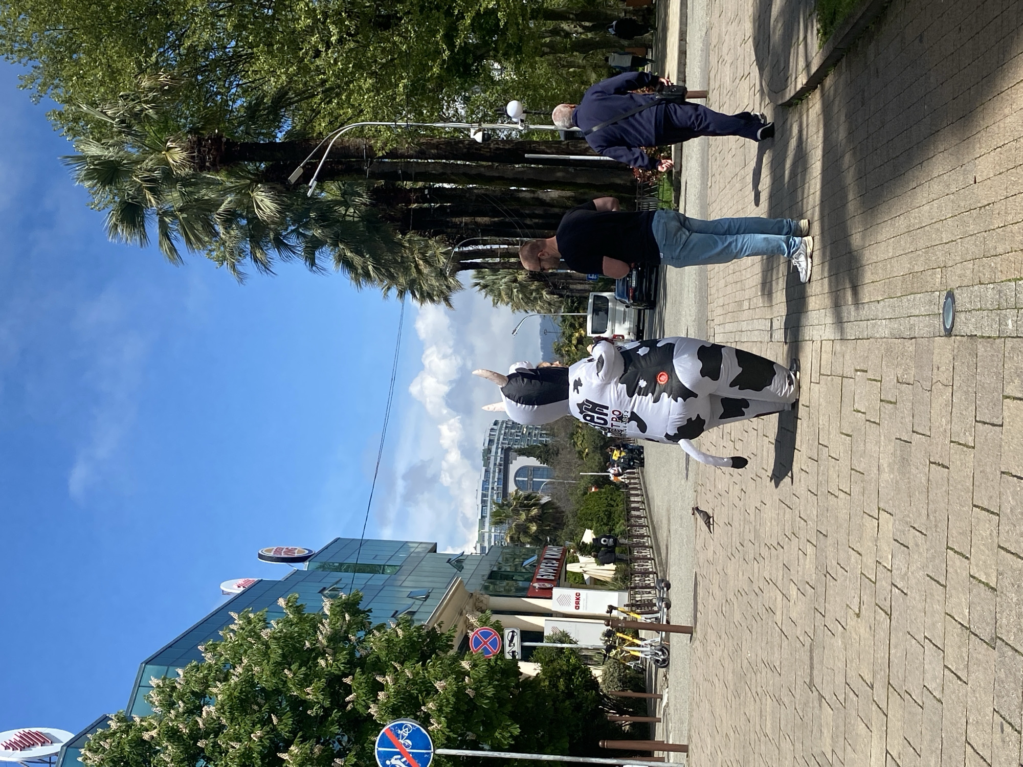 Person in cow costume spotted on Sochi sidewalk