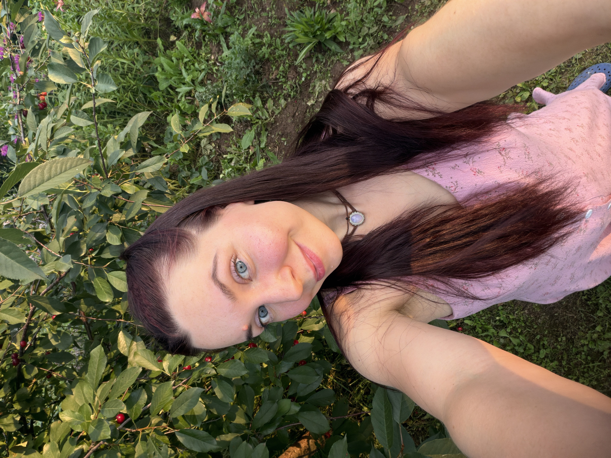 Summer garden afternoon in Фоки: flowers, strawberries, greenhouse light