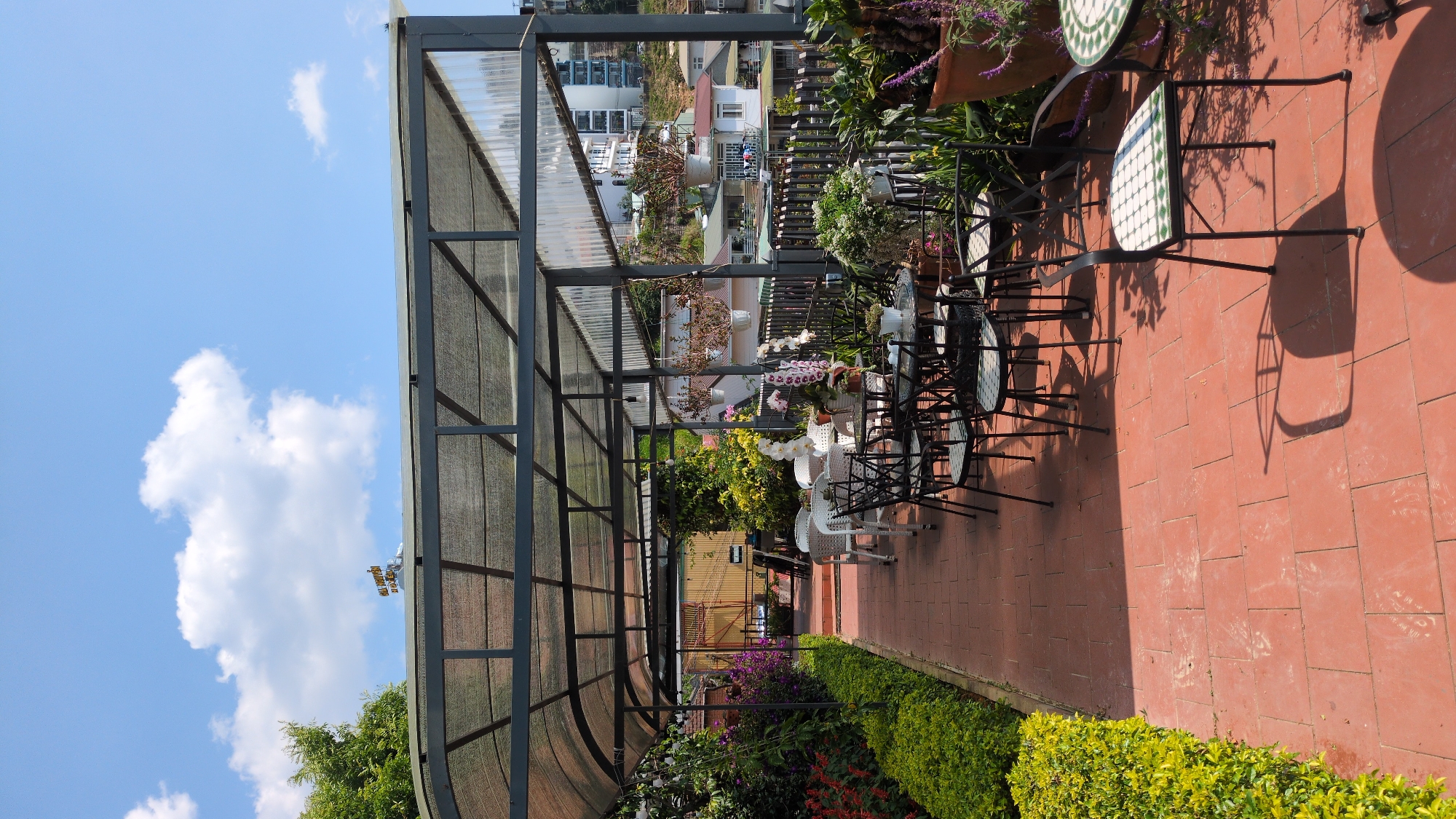 Small dog walks morning path amid blooming flowers in Da Lat