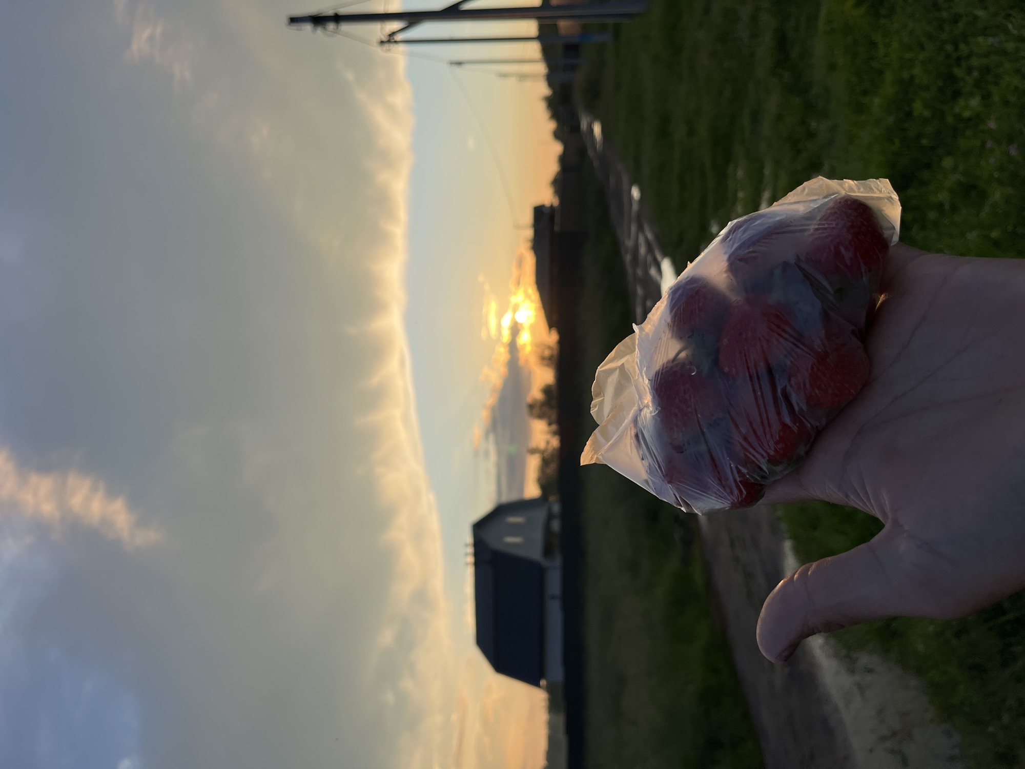 Summer evening on a rural Russian property, strawberries in hand