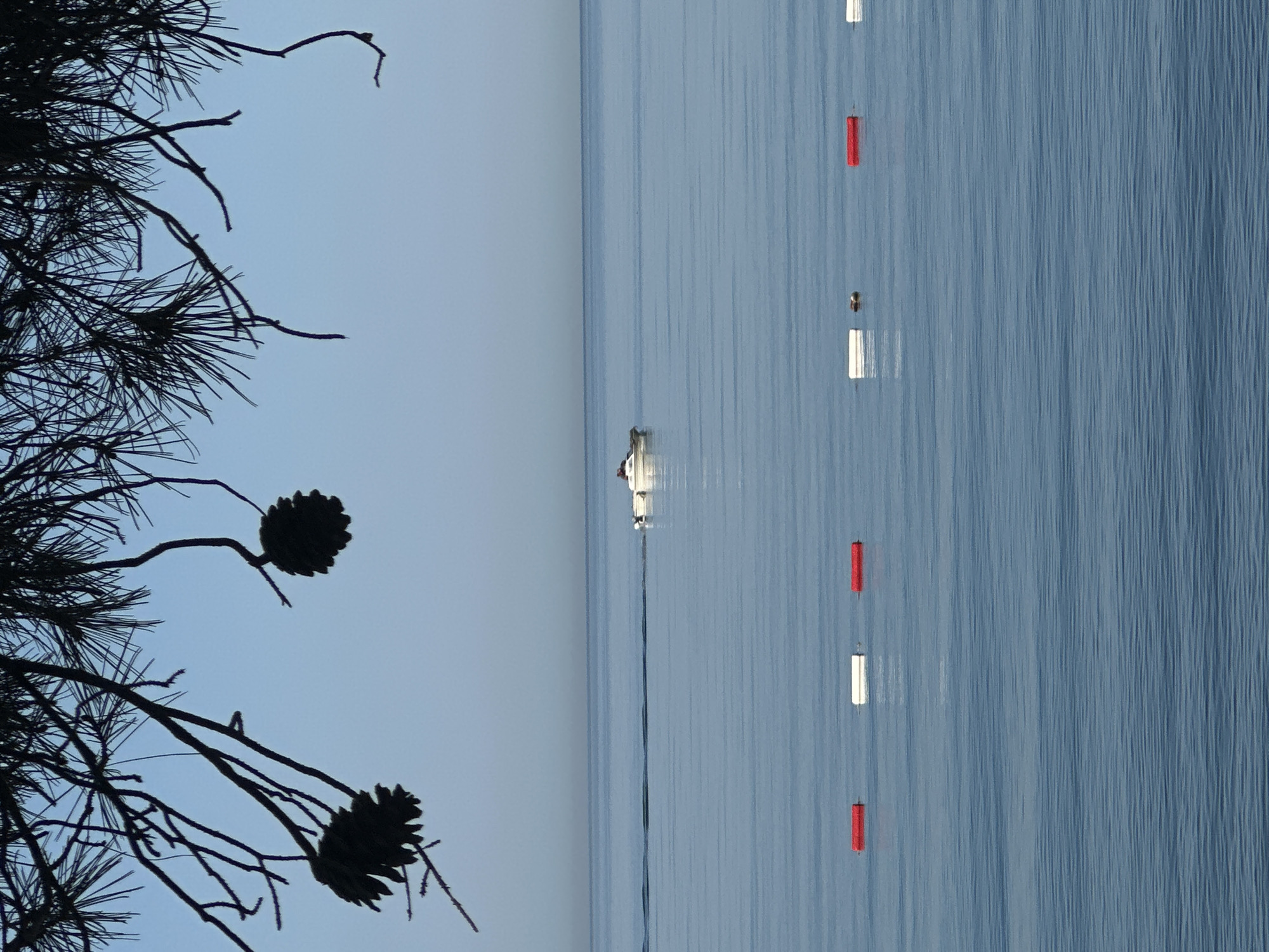 Morning scenes of nature and construction captured in Montenegro