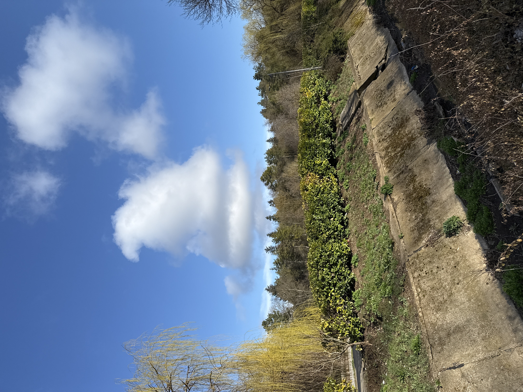 Spring afternoon stroll documented through St. George Park, Dobrich