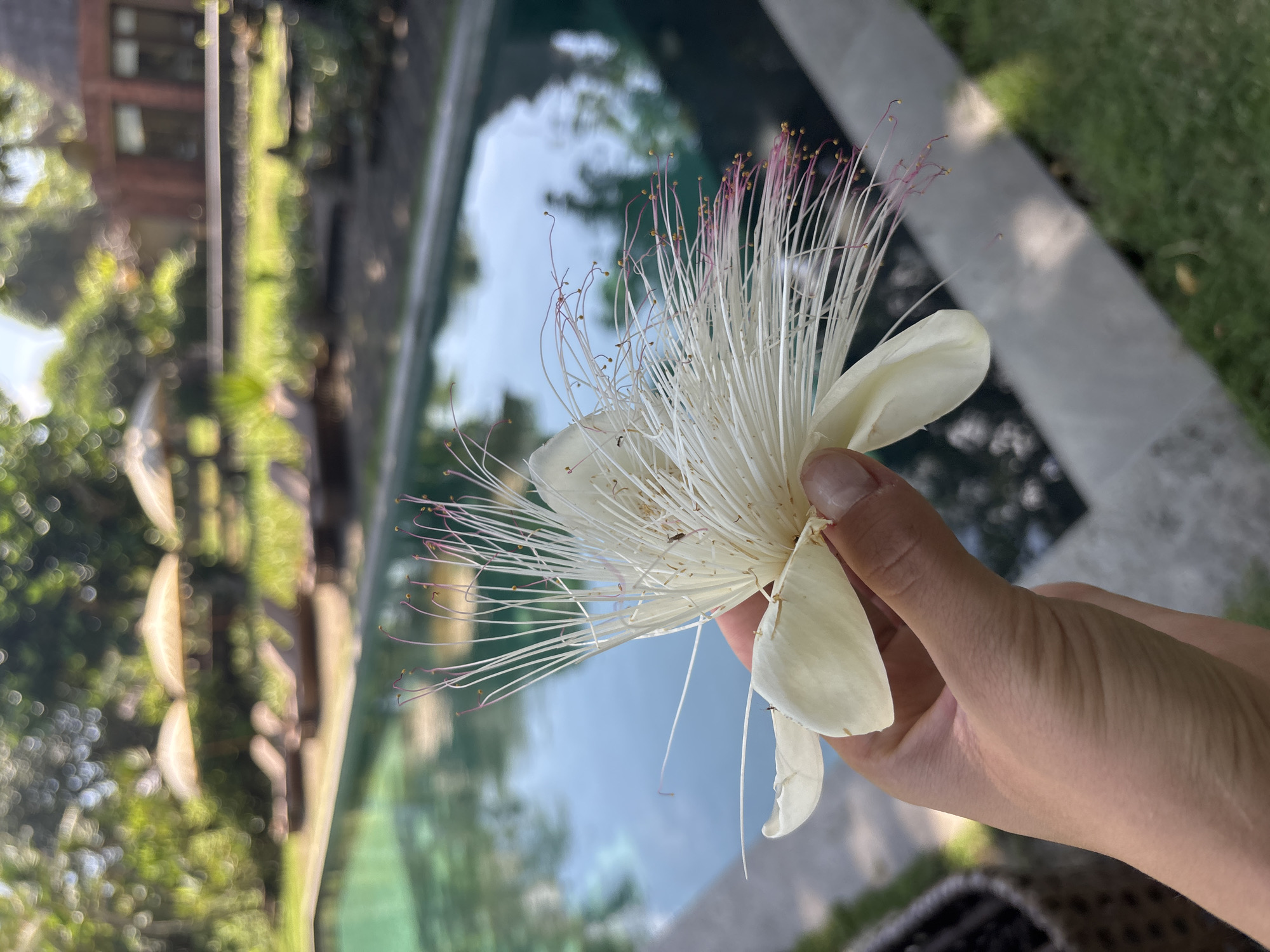 Laid-back beachside resort in Tabanan, Bali