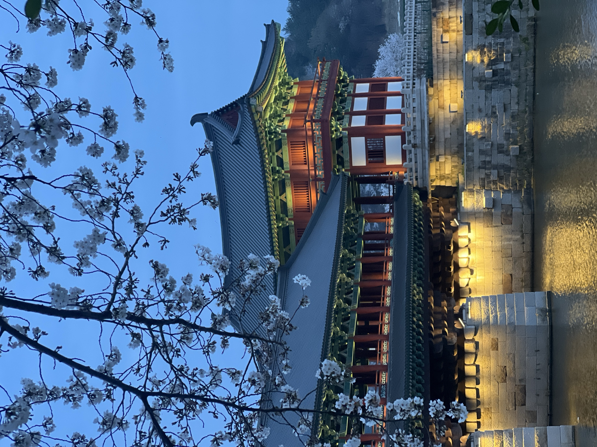 Traditional Korean architecture illuminated at dusk in Gyeongju