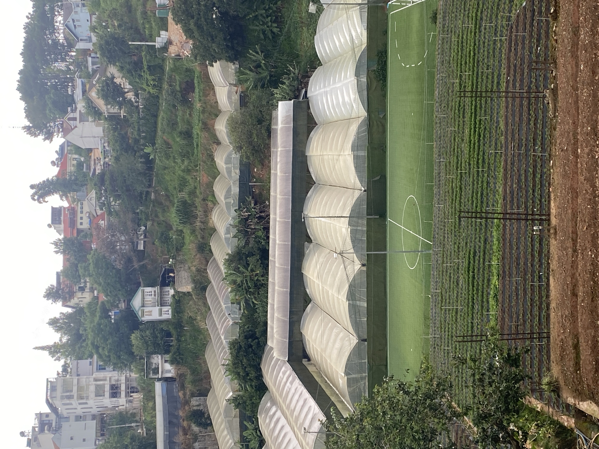 Flowers and greenhouses at Lâm Viên, Đà Lạt