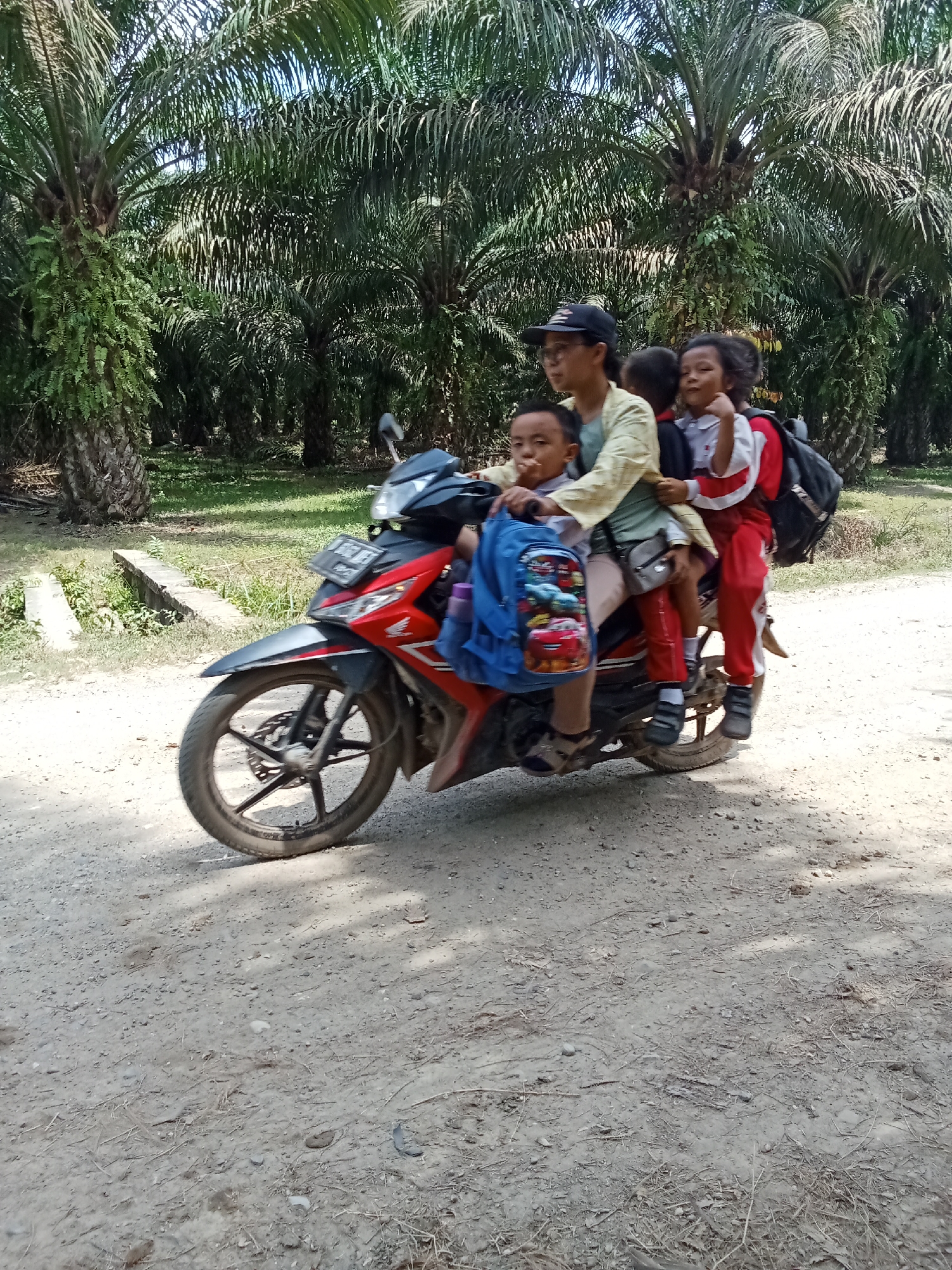 Four up on a motorcycle down a palm-lined dirt road in Ajamu