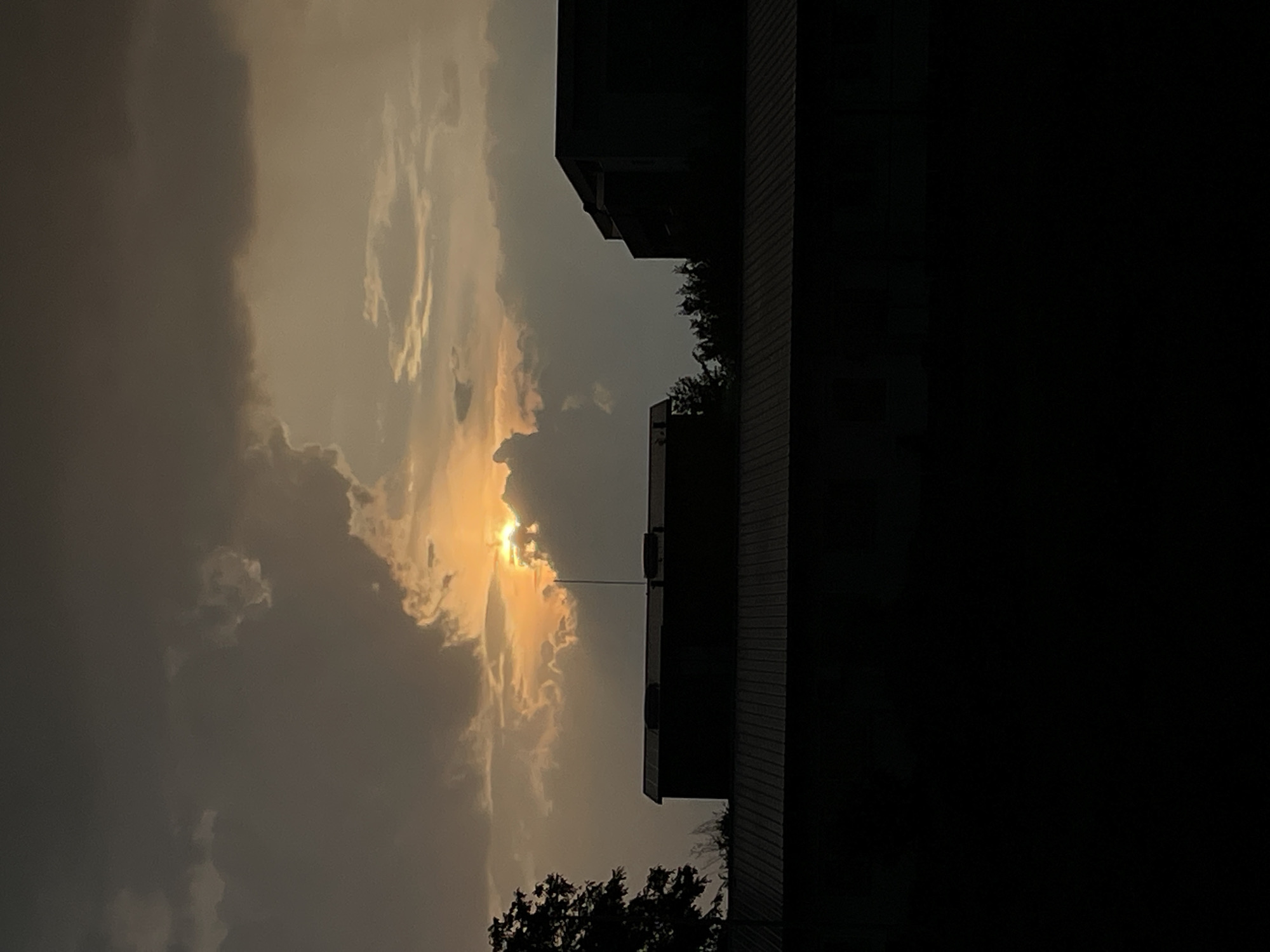 Summer solstice sunset over Timișoara, carnations in bloom