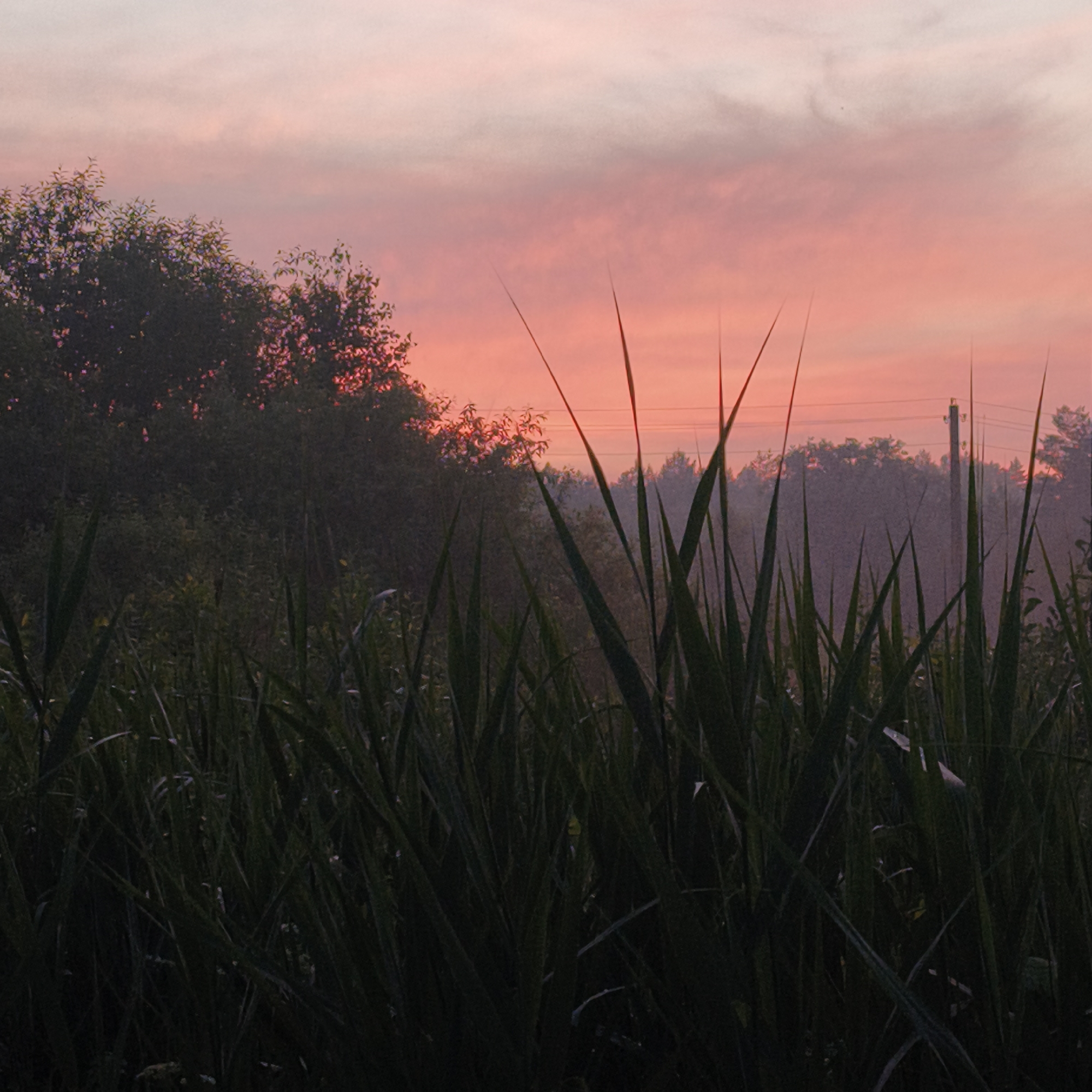 Summer solstice evening in a quiet Belarusian village
