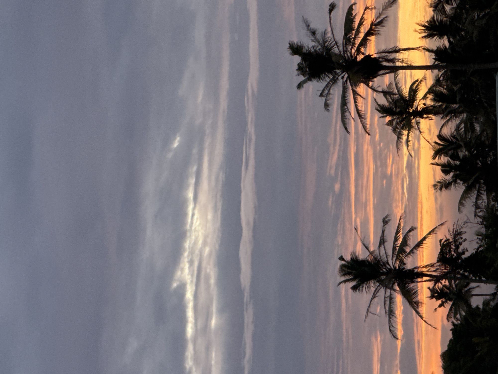 Sunset over Goviyapana's coast, palms, and village roads