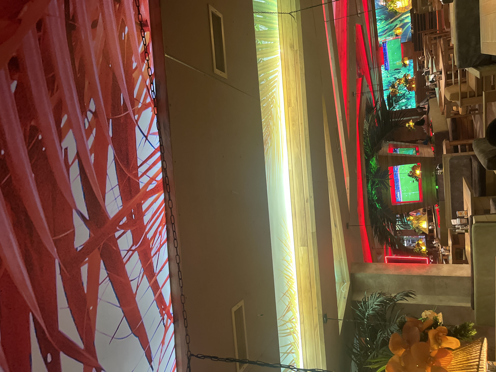 Evening dining captured at tropical-themed Sofia restaurant