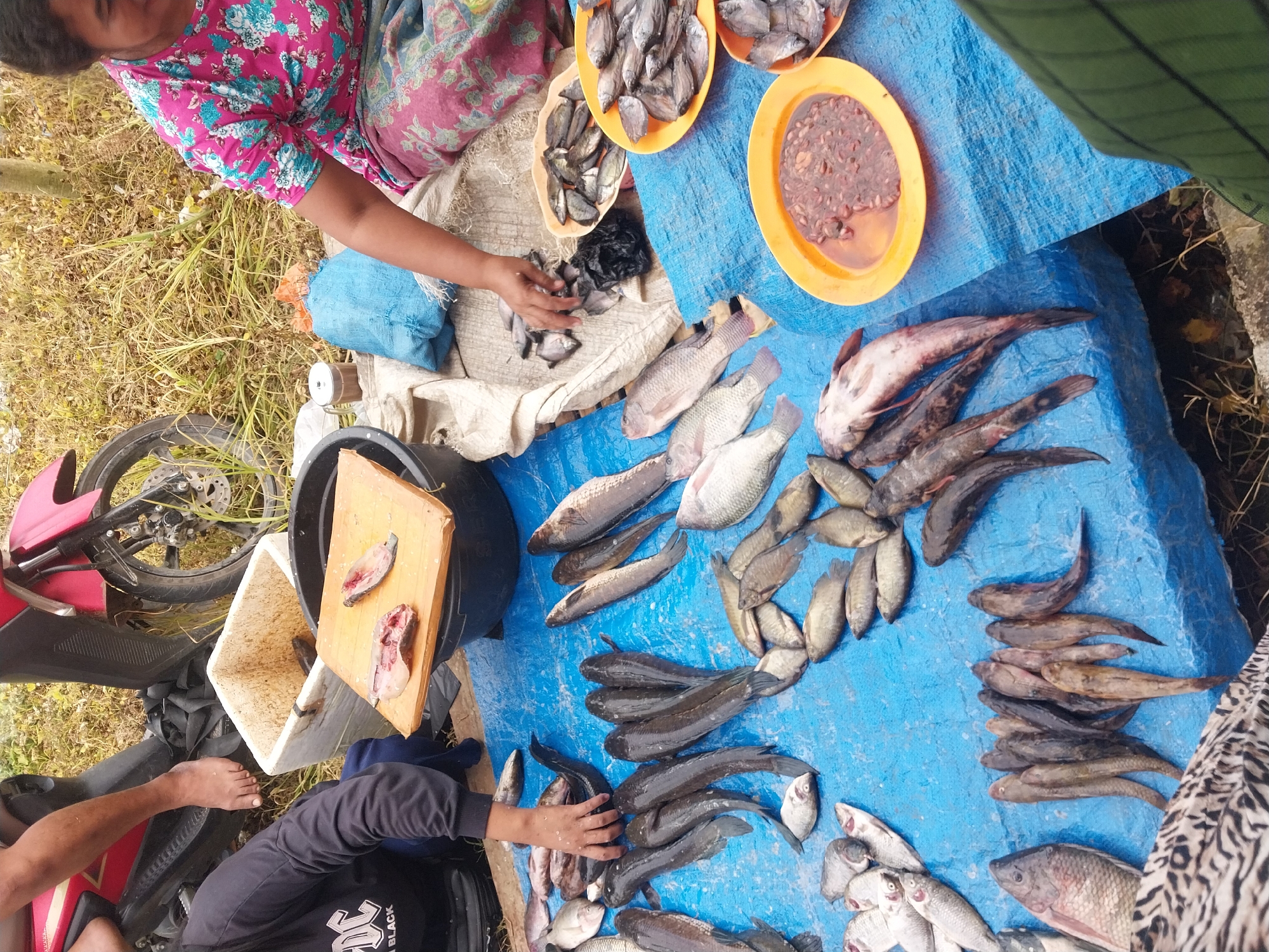 Fresh fish market in full swing across two Indonesian villages