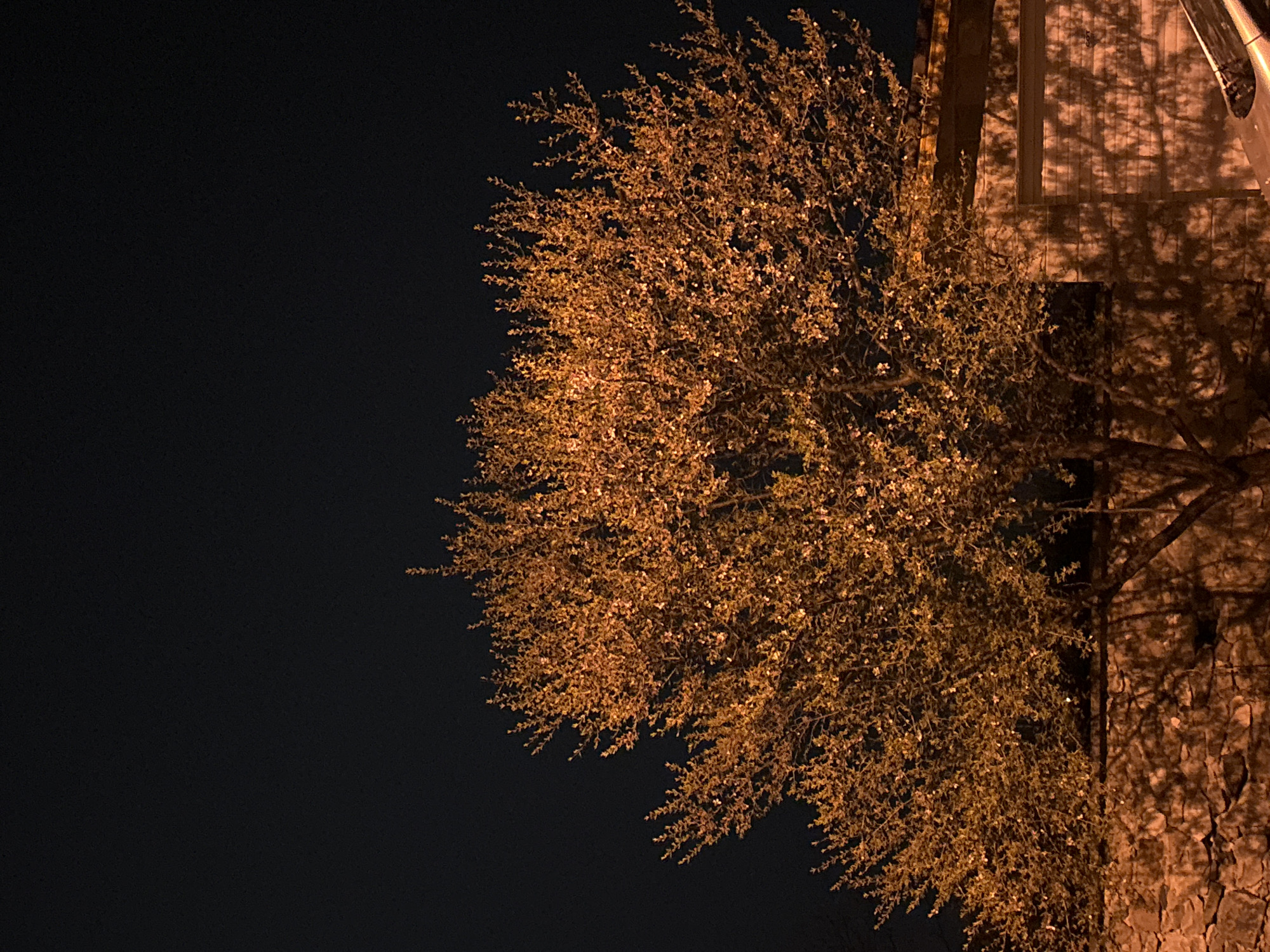Daily life snapshots captured in Bulgarian town