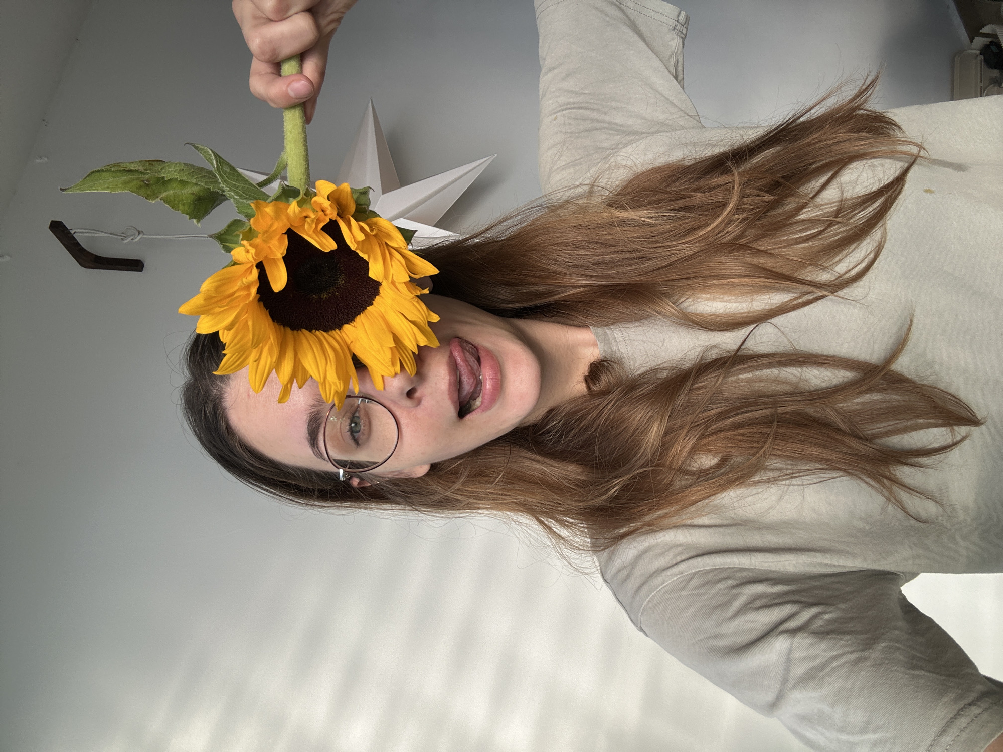 Sunflowers and Monstera plants in a laid-back Rishon LeZion afternoon