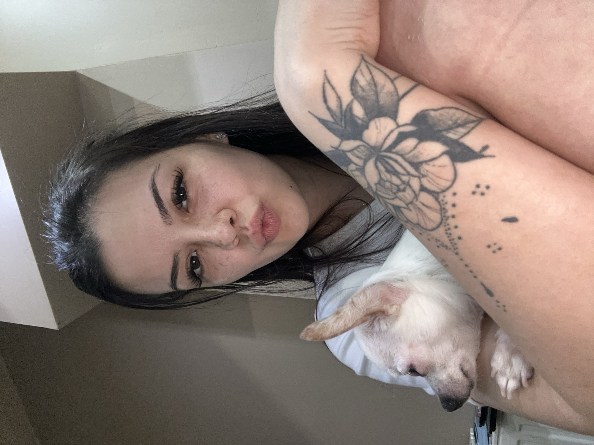 Indoor selfies with a white chihuahua in Sliven, Bulgaria