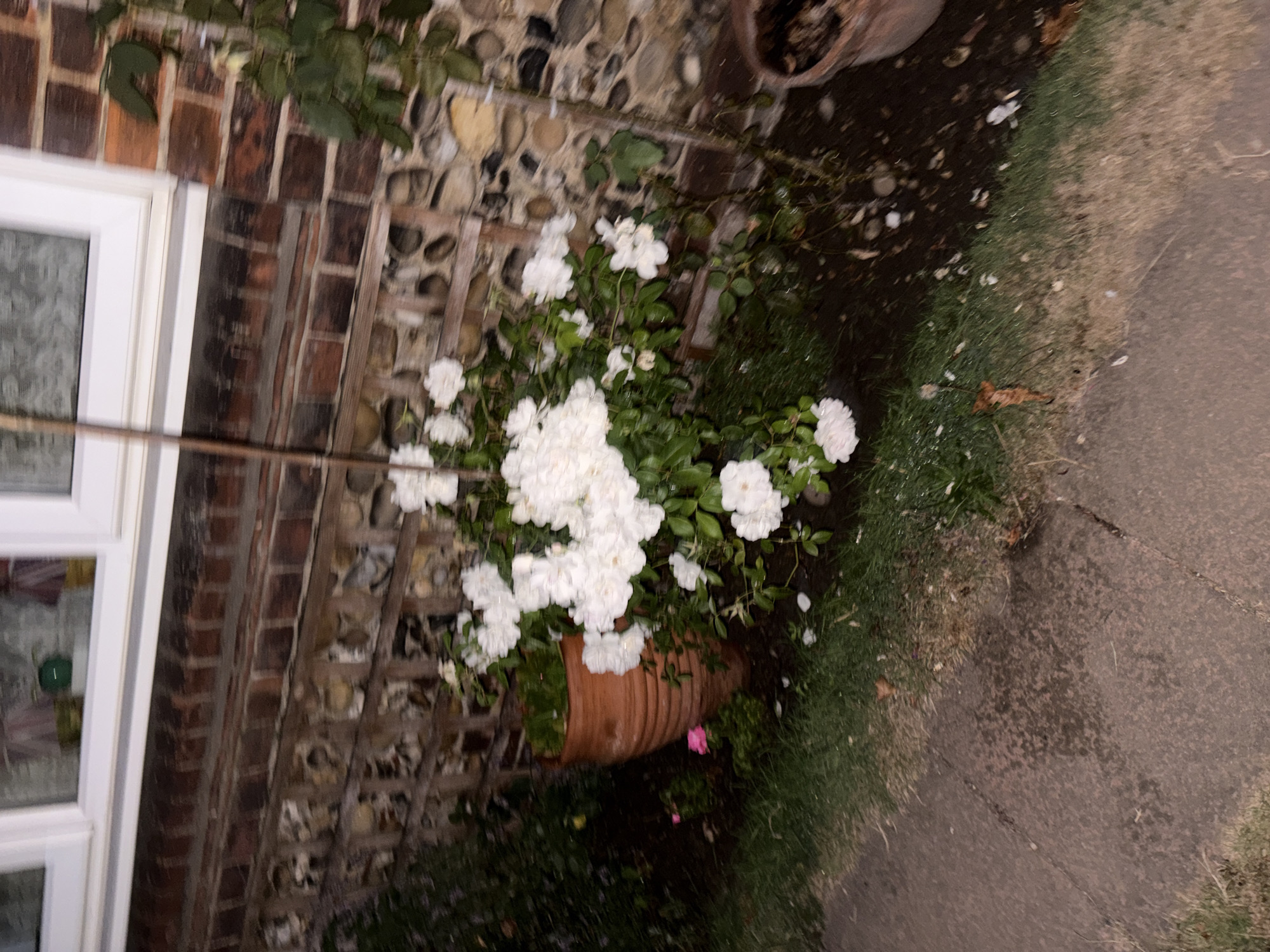 Chelmsford, United Kingdom