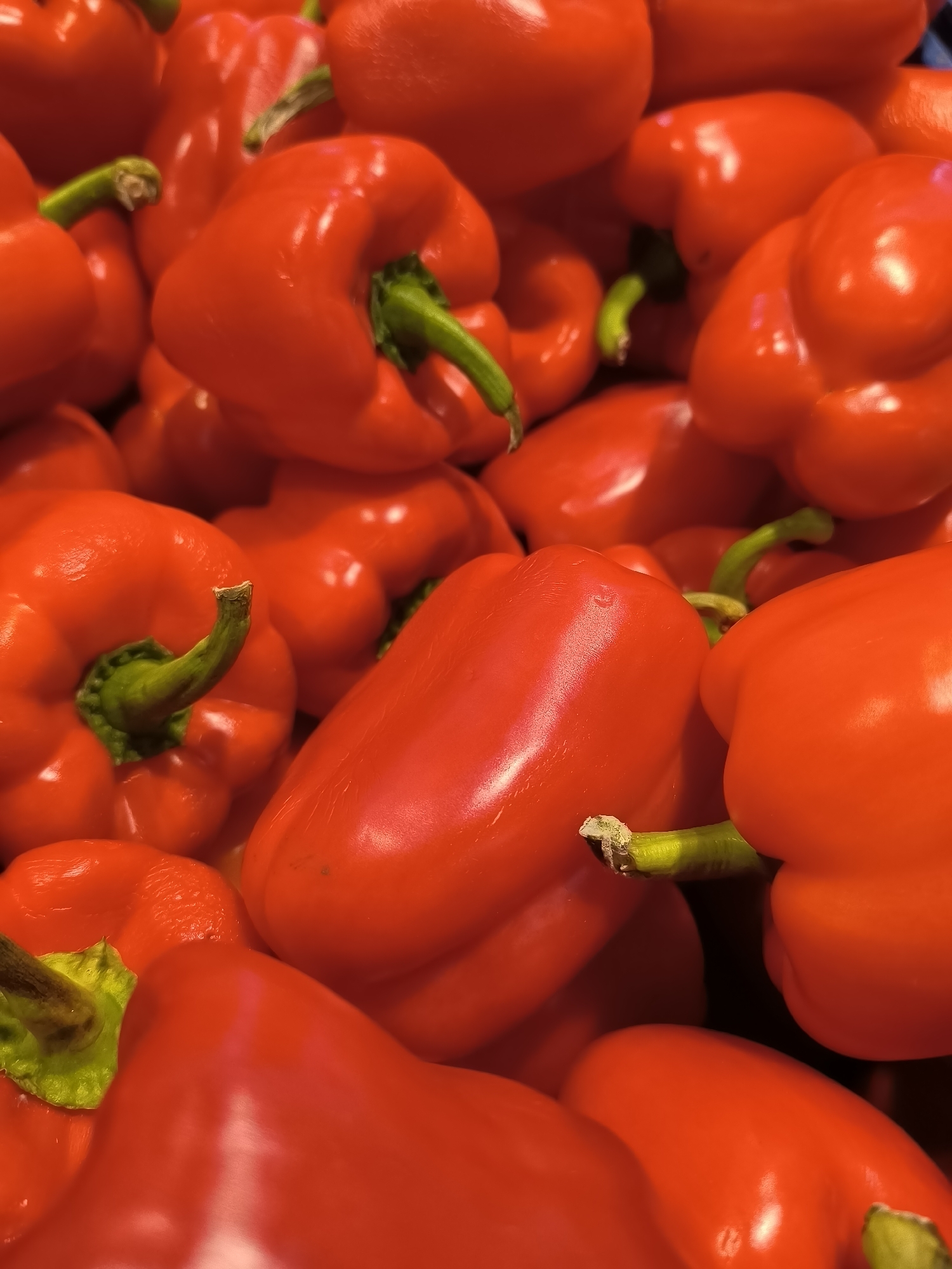 Pile of glossy red bell peppers shot up close