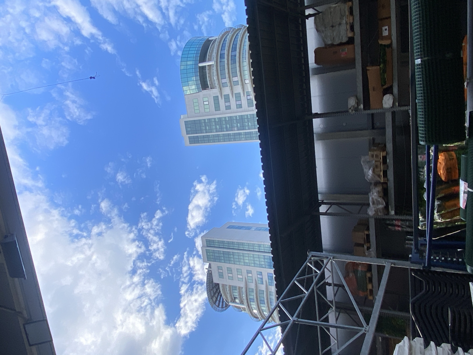Garden center shopping trip with bungee jump in Varna