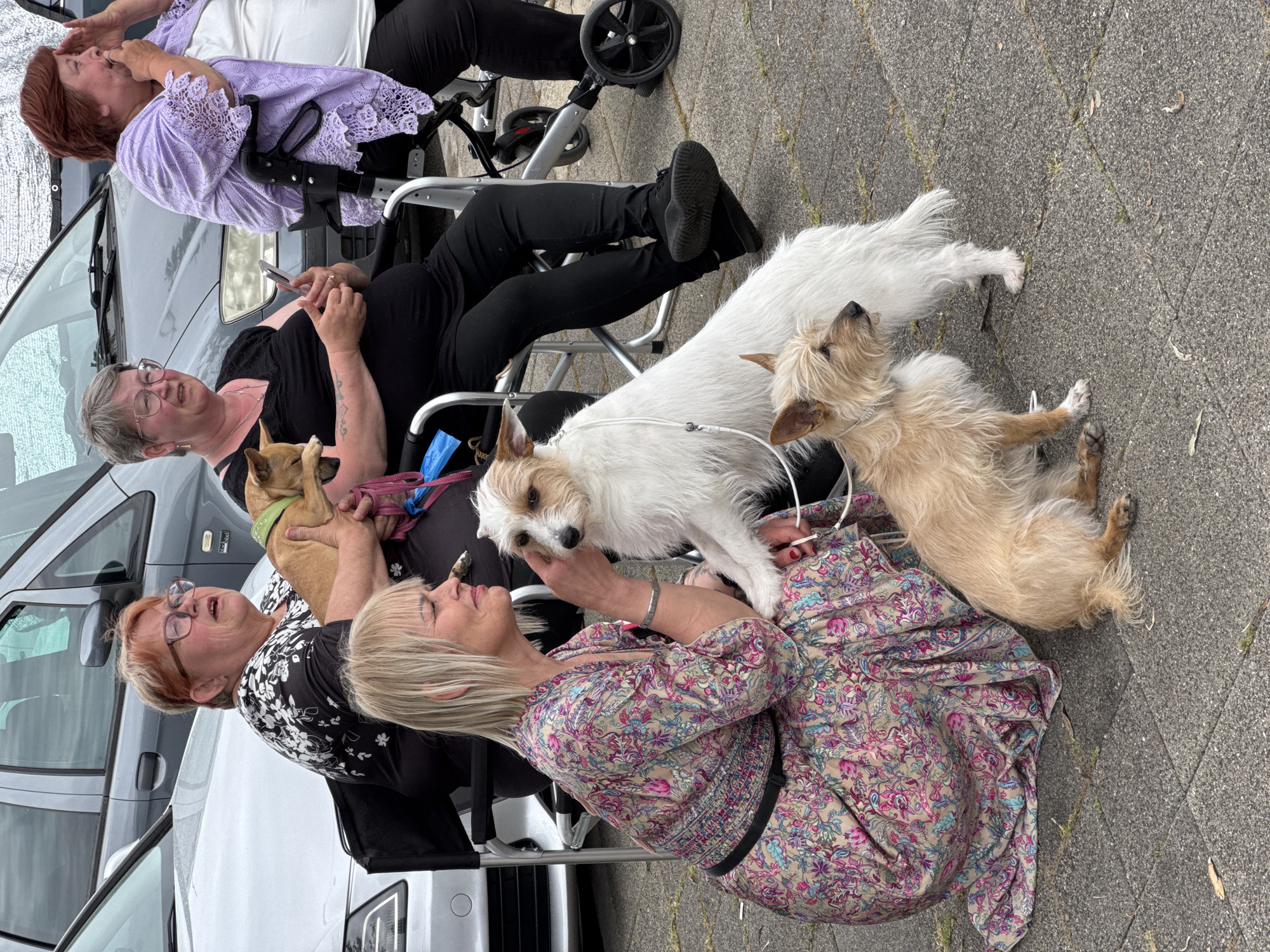 Dog show event documented by witnesses in Bar, Montenegro
