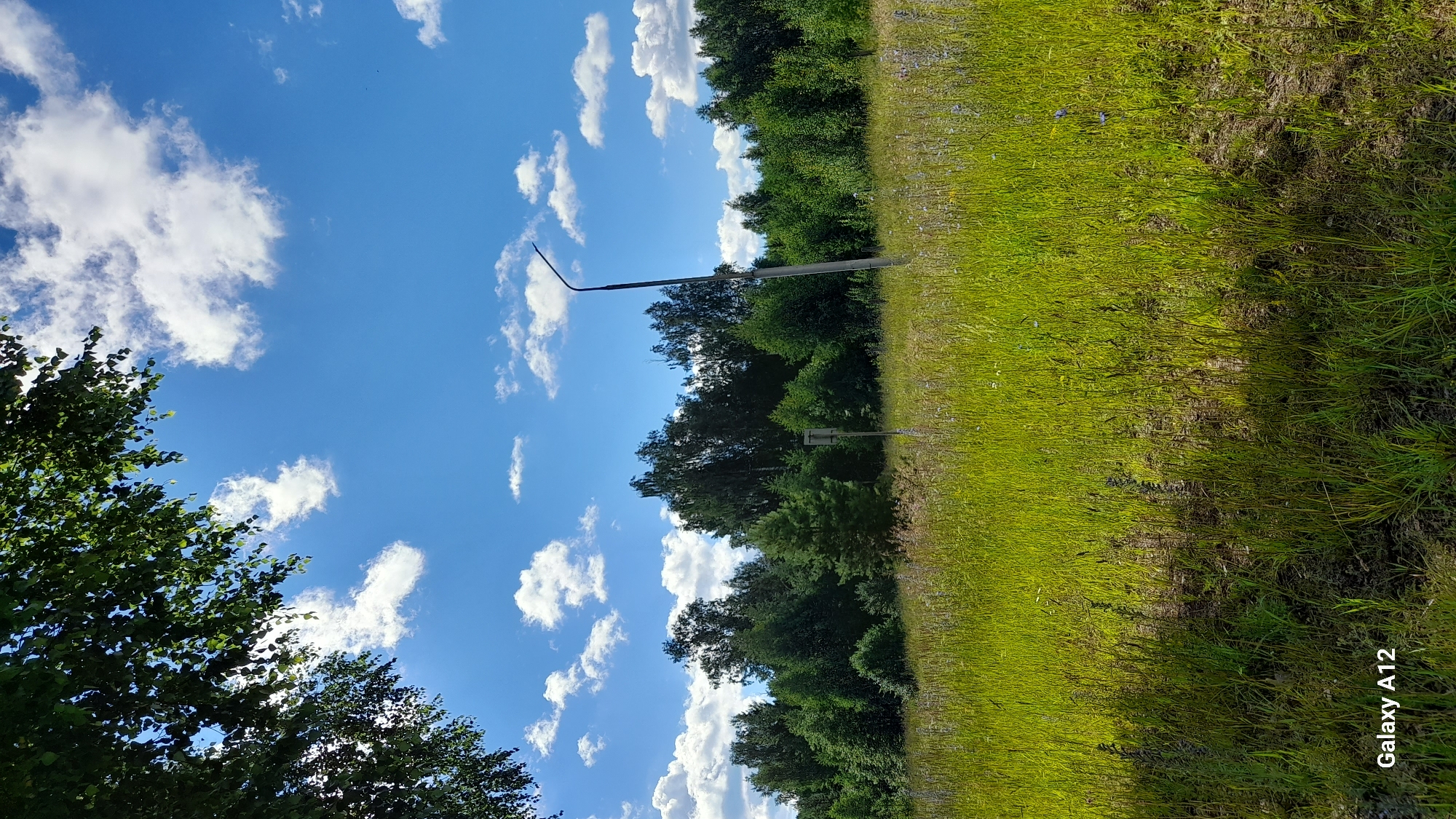 Open grassland and blue skies in rural Russia