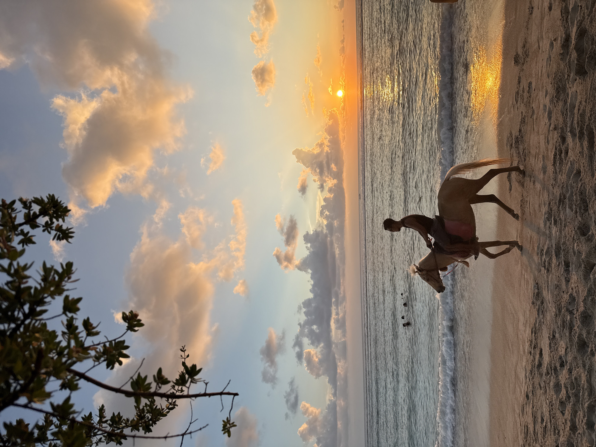 Horse and rider walk Indonesian beach at sunset