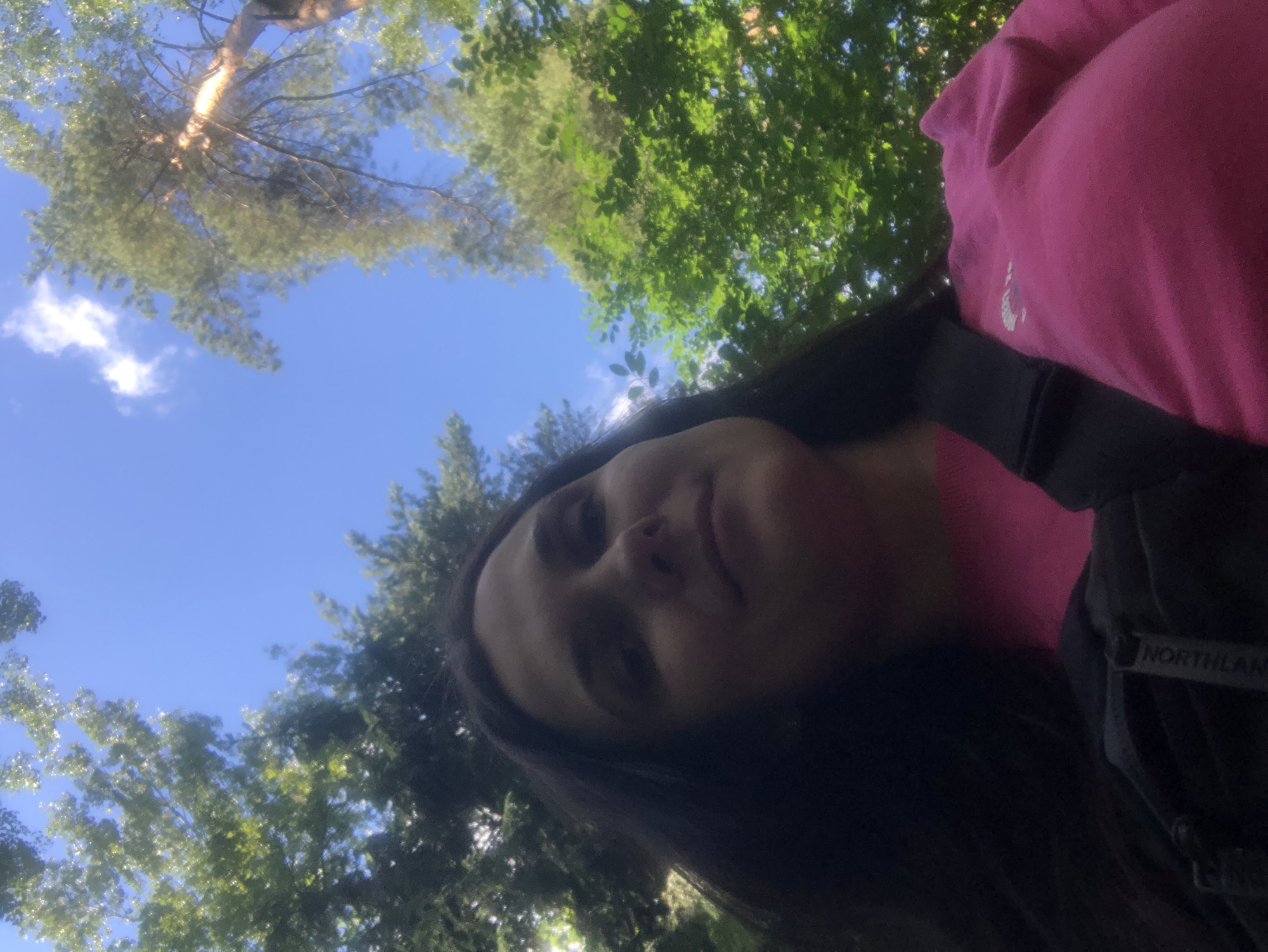 Selfies and pine trees on a sunny Moscow park afternoon