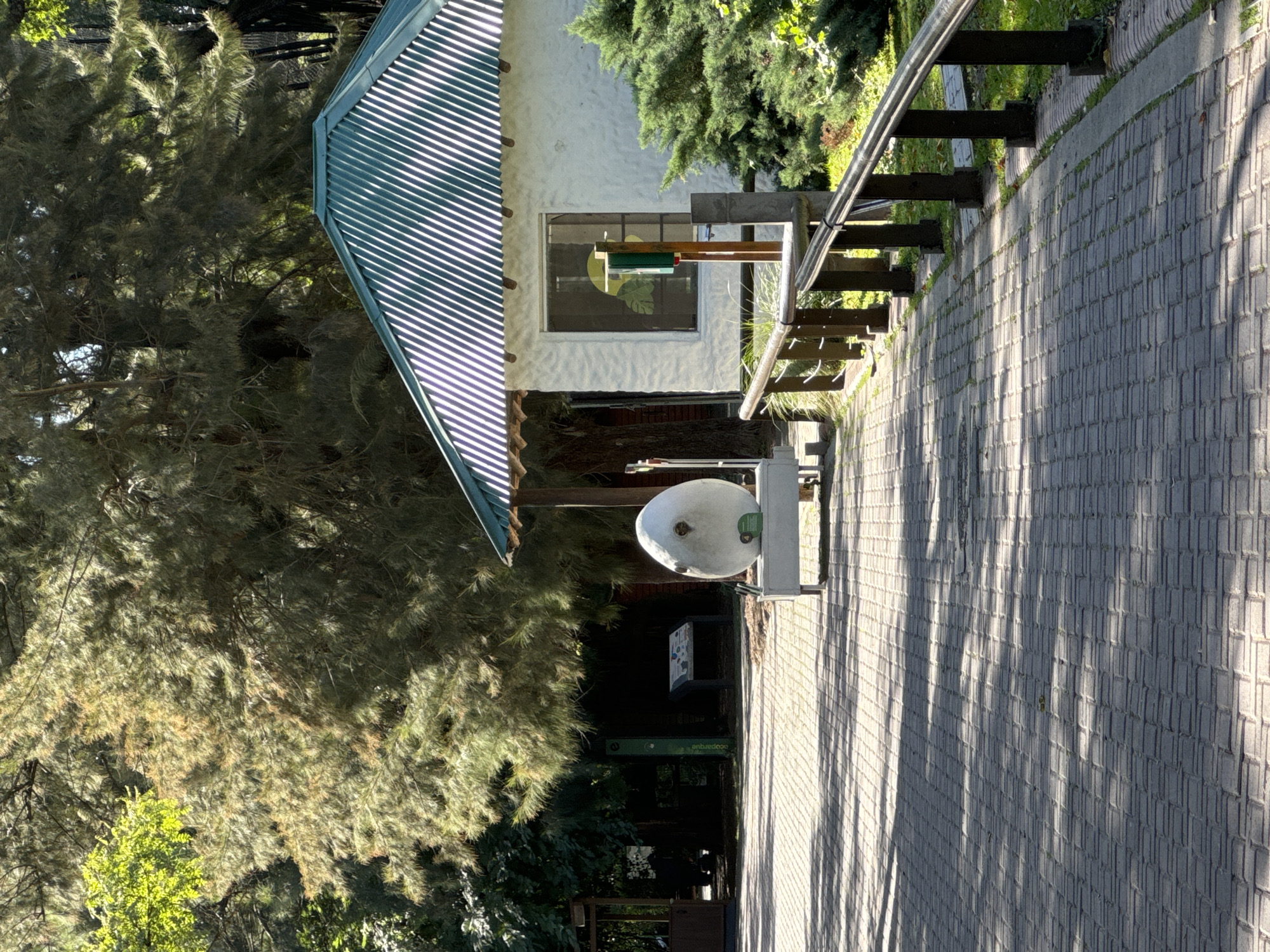 Buenos Aires Zoo and Park Activities Documented During Afternoon Visit