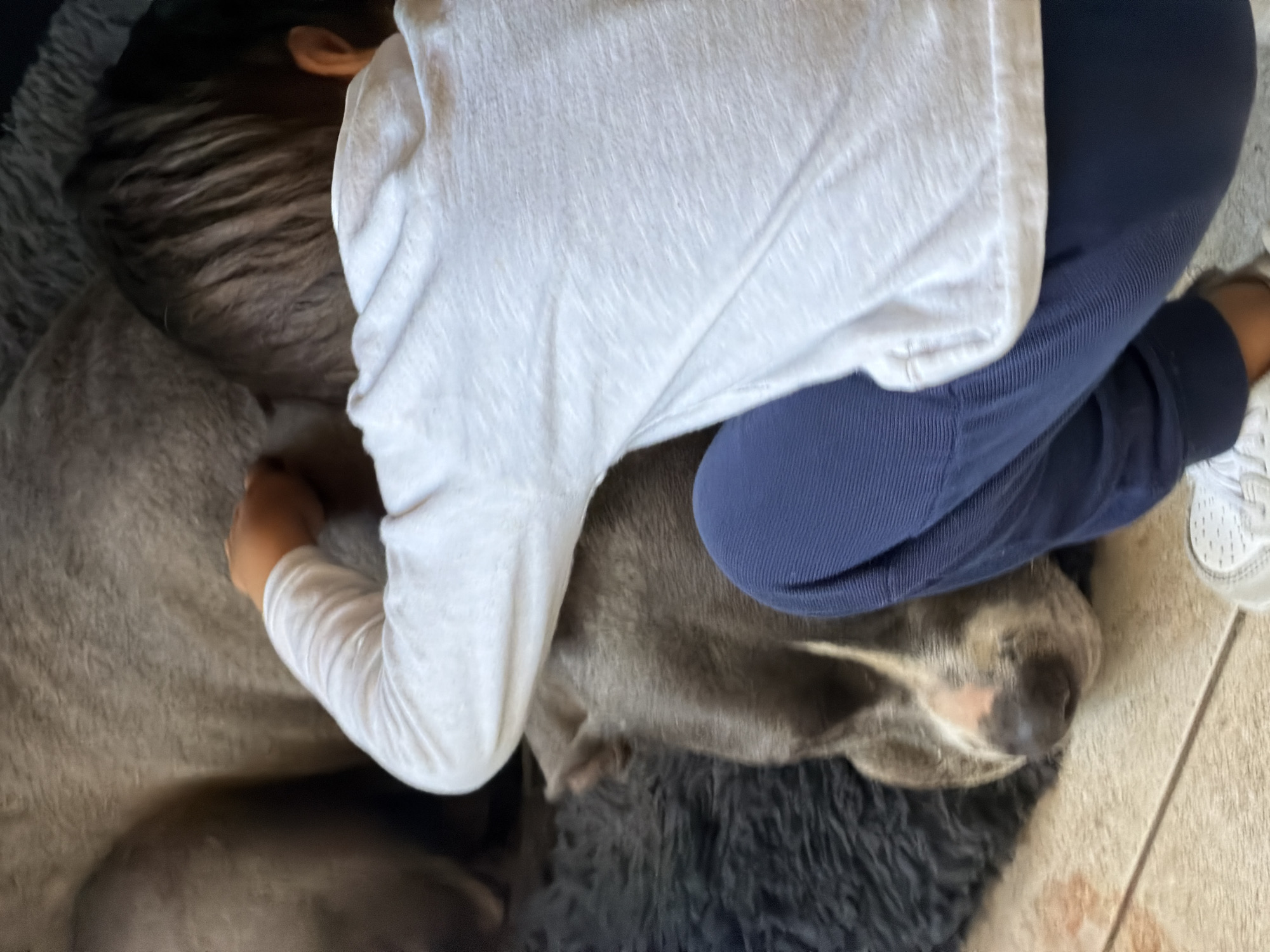 Child rests with large dog in Luxembourg city