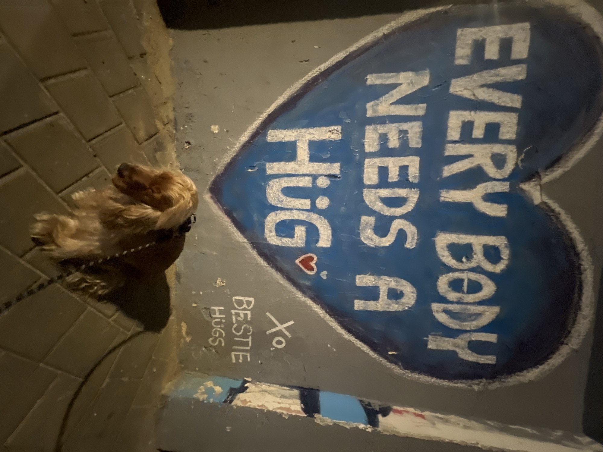 Dog poses near heartwarming street art in Tel-Aviv