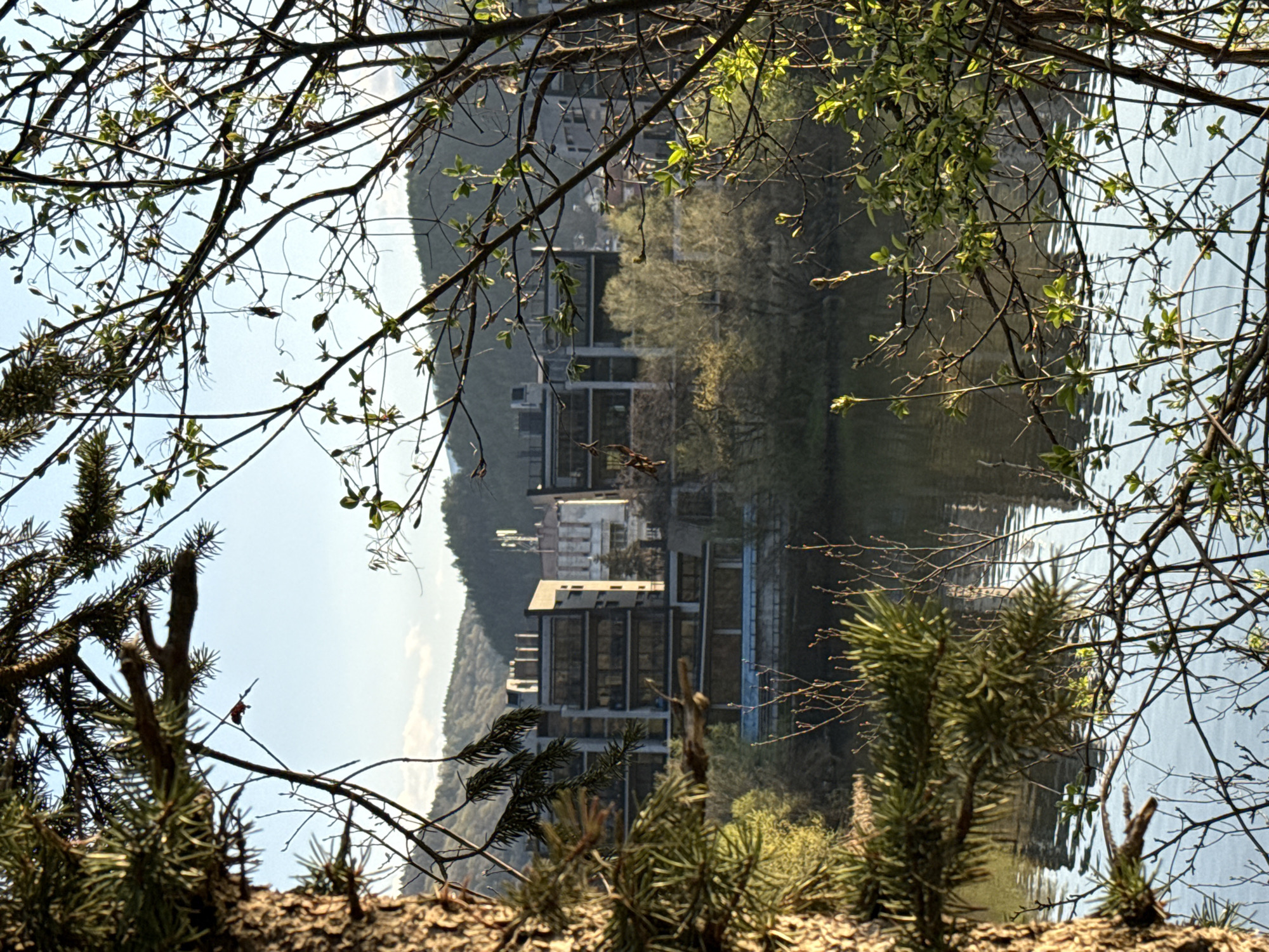 Peaceful forest and lake scenes documented in Pancharevo Bulgaria