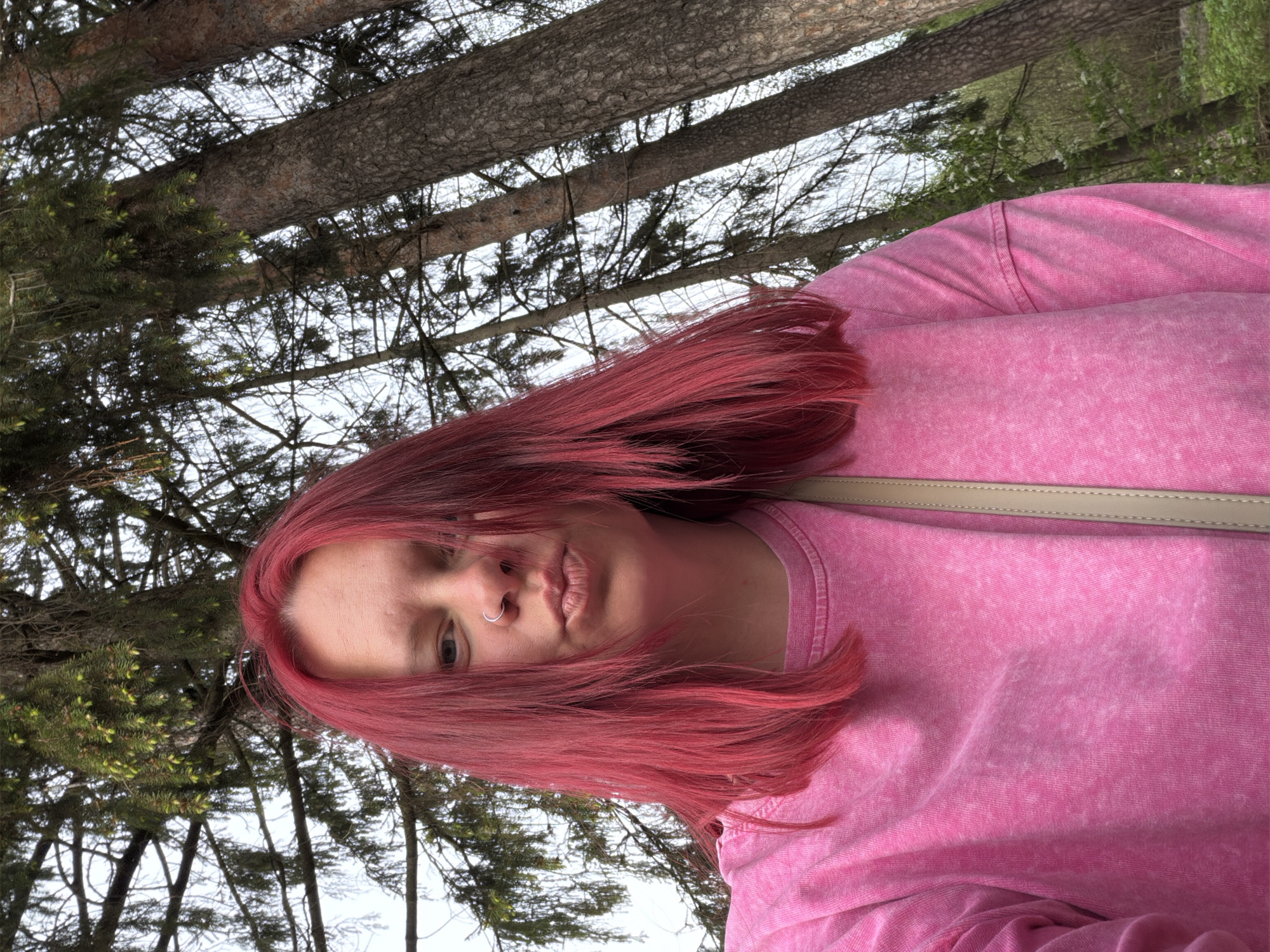 Family forest outing with ice cream in Chaikovsky, Russia